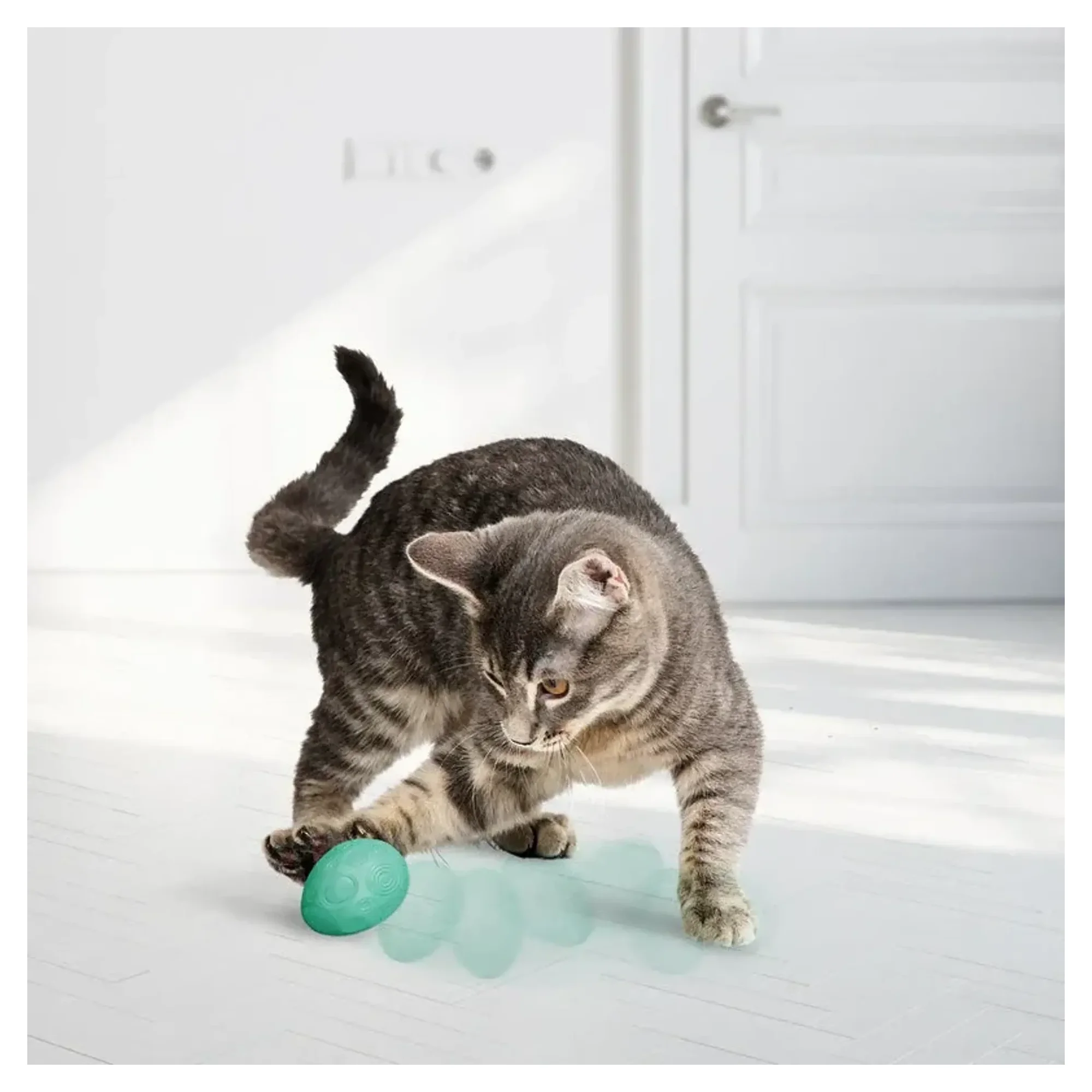 Kong Kedi Naneli Yumurta Top Oyuncak 2'li — Kedi Naneli Oyuncaklar (Catnip) — Görsel 2
