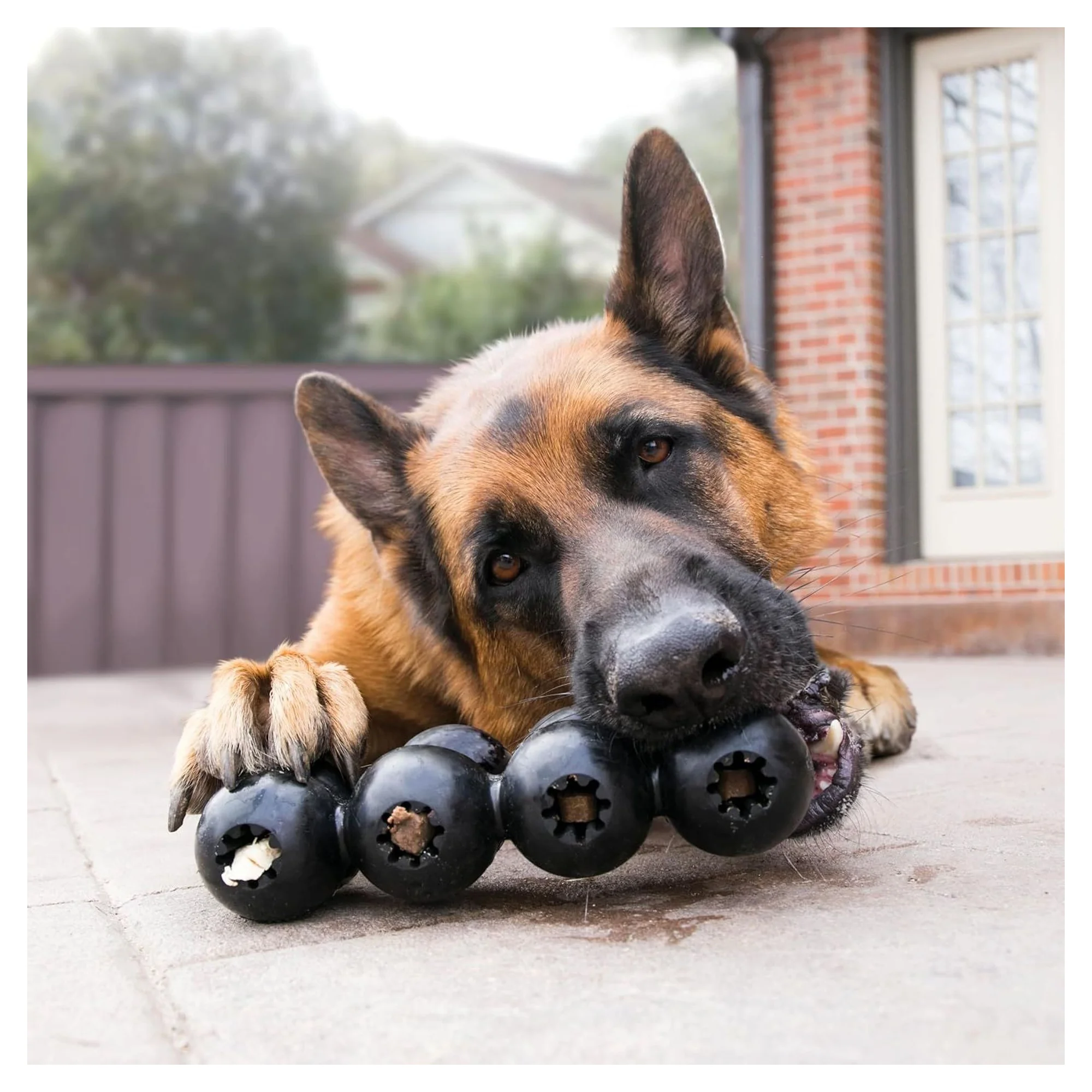 Kong Extreme Çoklu Top Şeklinde Köpek Oyuncağı Ultra Sert L — Toplar, 530 g — Görsel 6