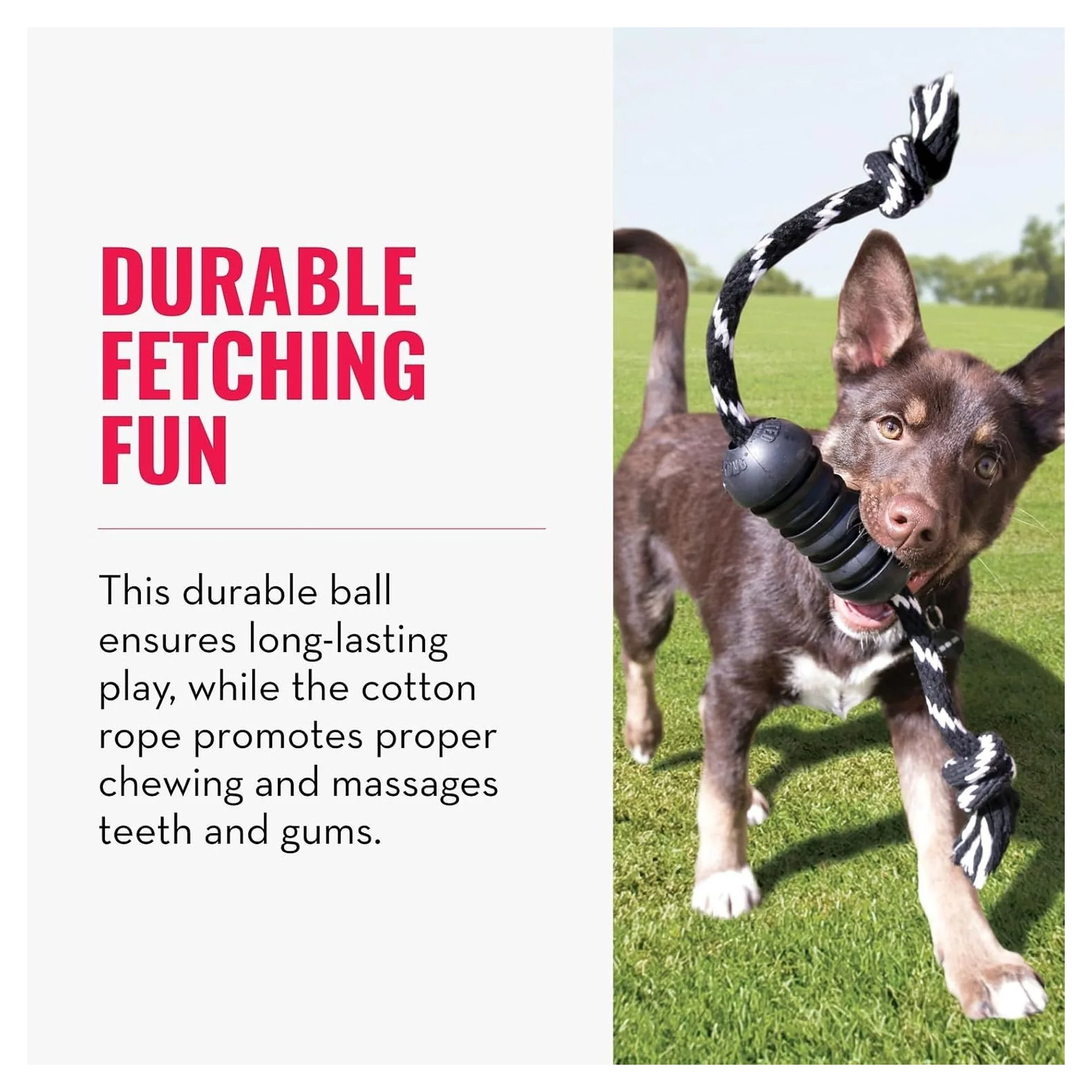 Kong Extreme Dental Diş Temizliği Sağlayan İp Sallantılı Köpek Oyuncağı Ultra Sert M — Diş İpleri, 220 g — Görsel 4