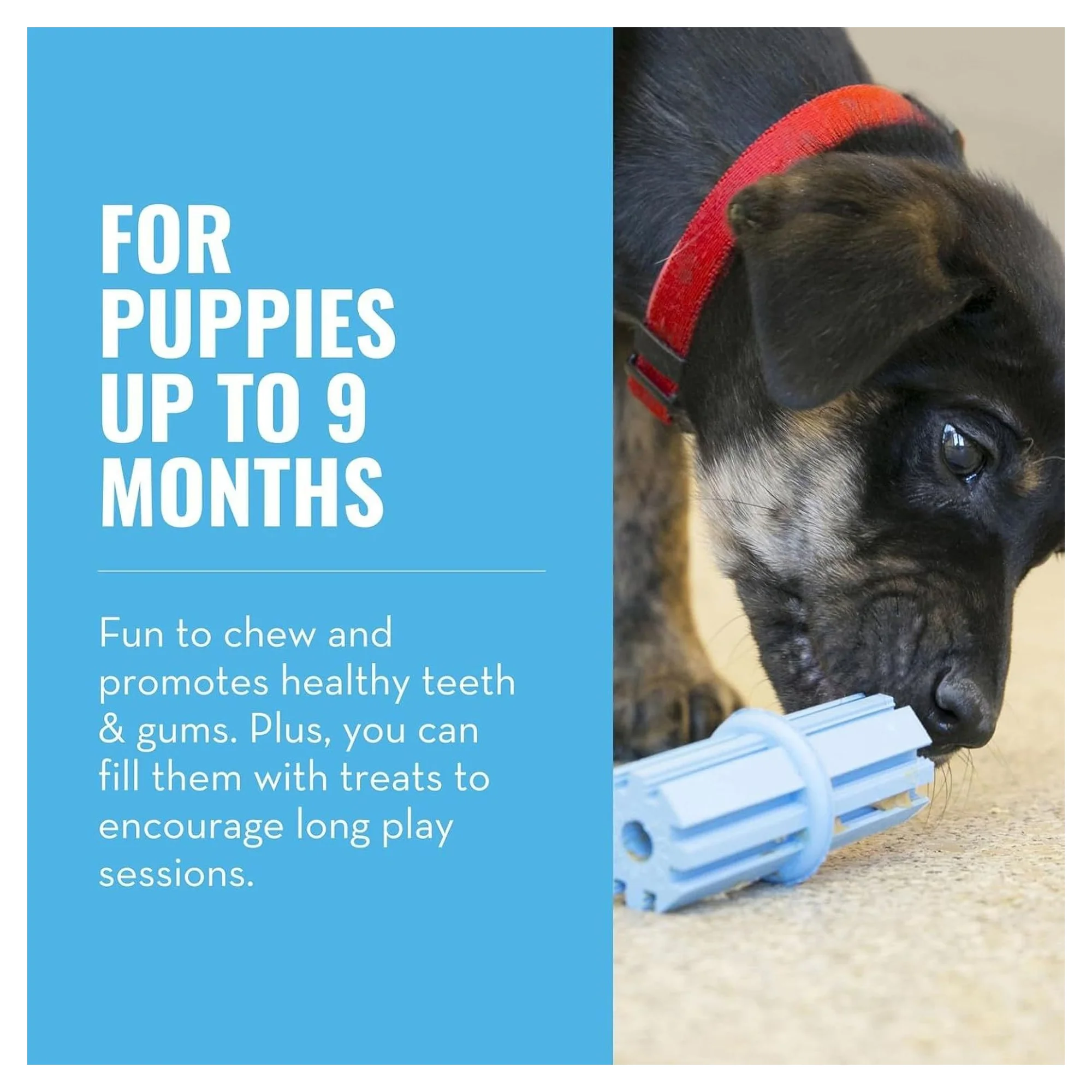 Kong Puppy Teething Stick Diş Temizliği Sağlayan Çok Amaçlı Yavru Köpek Oyuncağı L — Oyuncaklar, 220 g — Görsel 4