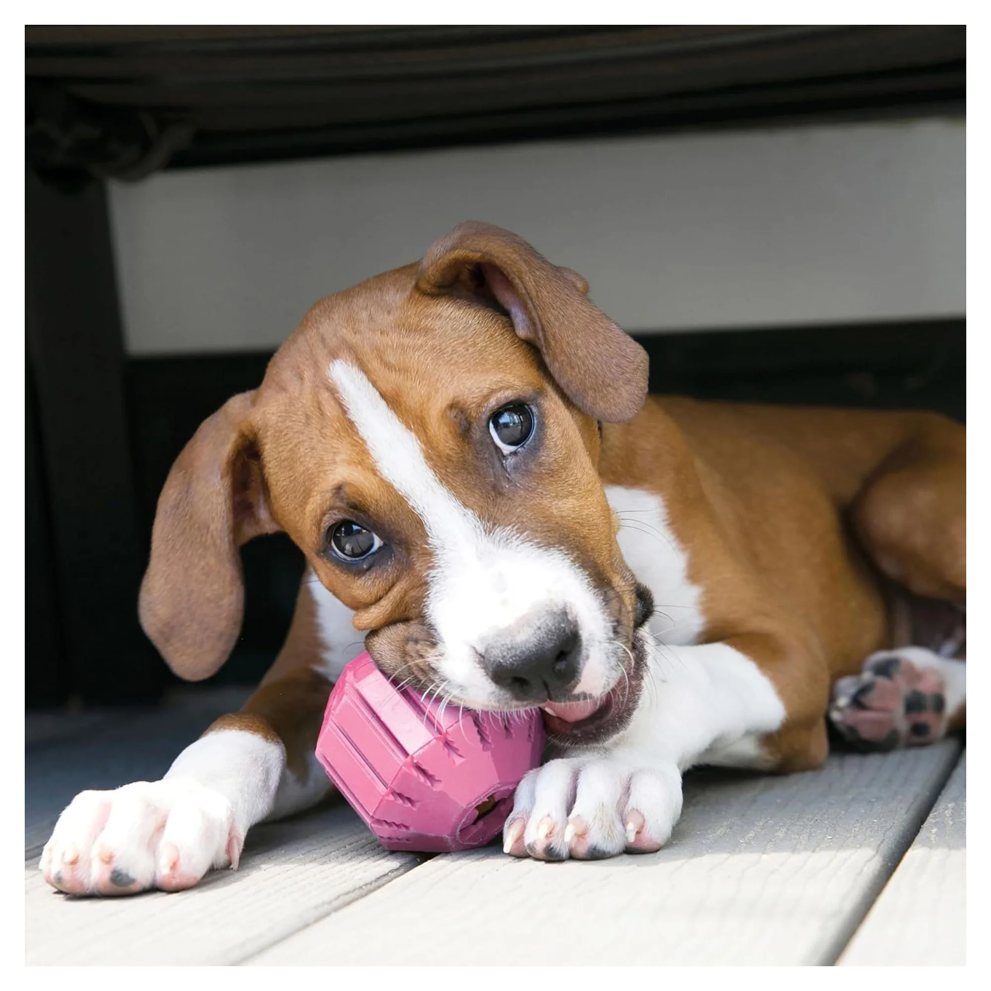 Kong Puppy Yavru Köpek Aktivite Oyuncağı M — Plastik ve Kauçuk Oyuncaklar, 220 g — Görsel 6