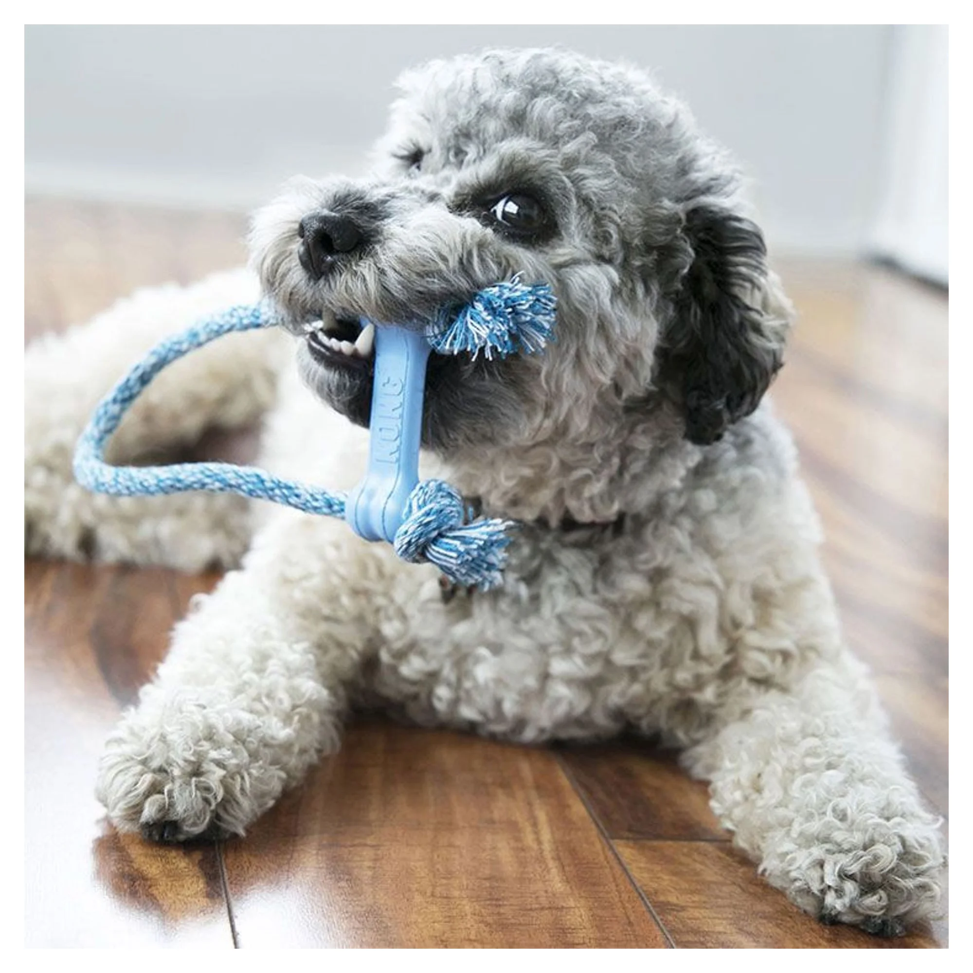 Kong Kong Puppy Goodie Bone Kemik Şeklinde Çok Amaçlı İp Sallantılı Yavru Köpek Diş İpi Oyuncağı XS — Diş İpleri, 110 g — Görsel 2