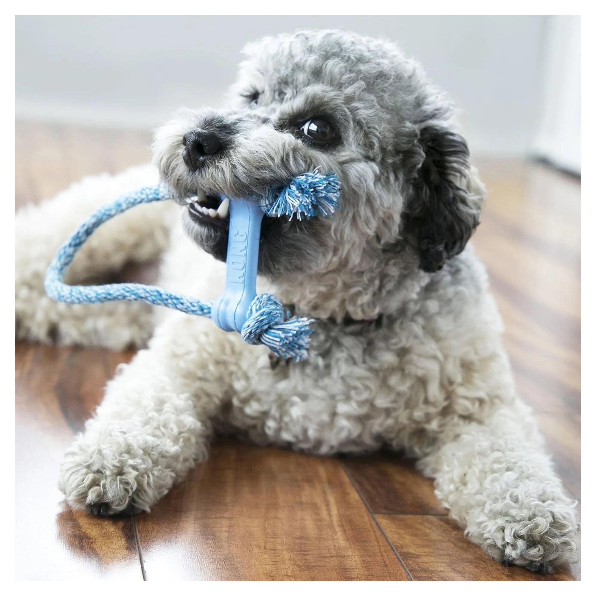 Kong Puppy Goodie Bone Kemik Şeklinde Çok Amaçlı İp Sallantılı Yavru Köpek Diş İpi Oyuncağı XS — Diş İpleri, 110 g — Görsel 4