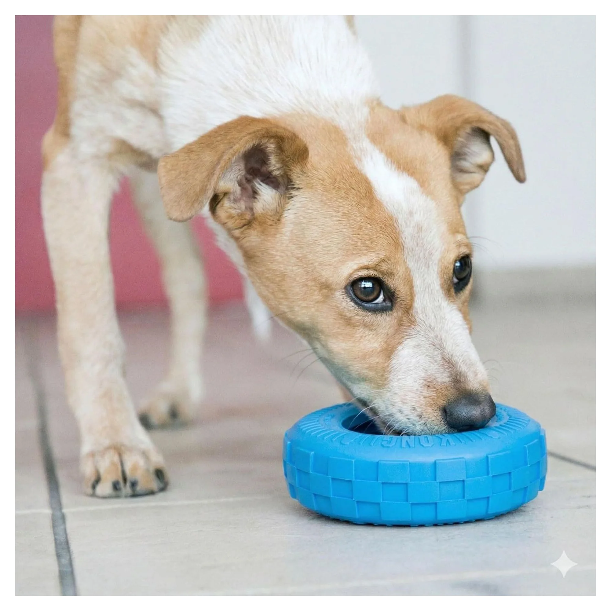 Kong Puppy Tires Delikli Tekerlek Şeklinde Yavru Köpek Oyuncağı M/L — Oyuncaklar, 270 g — Görsel 5