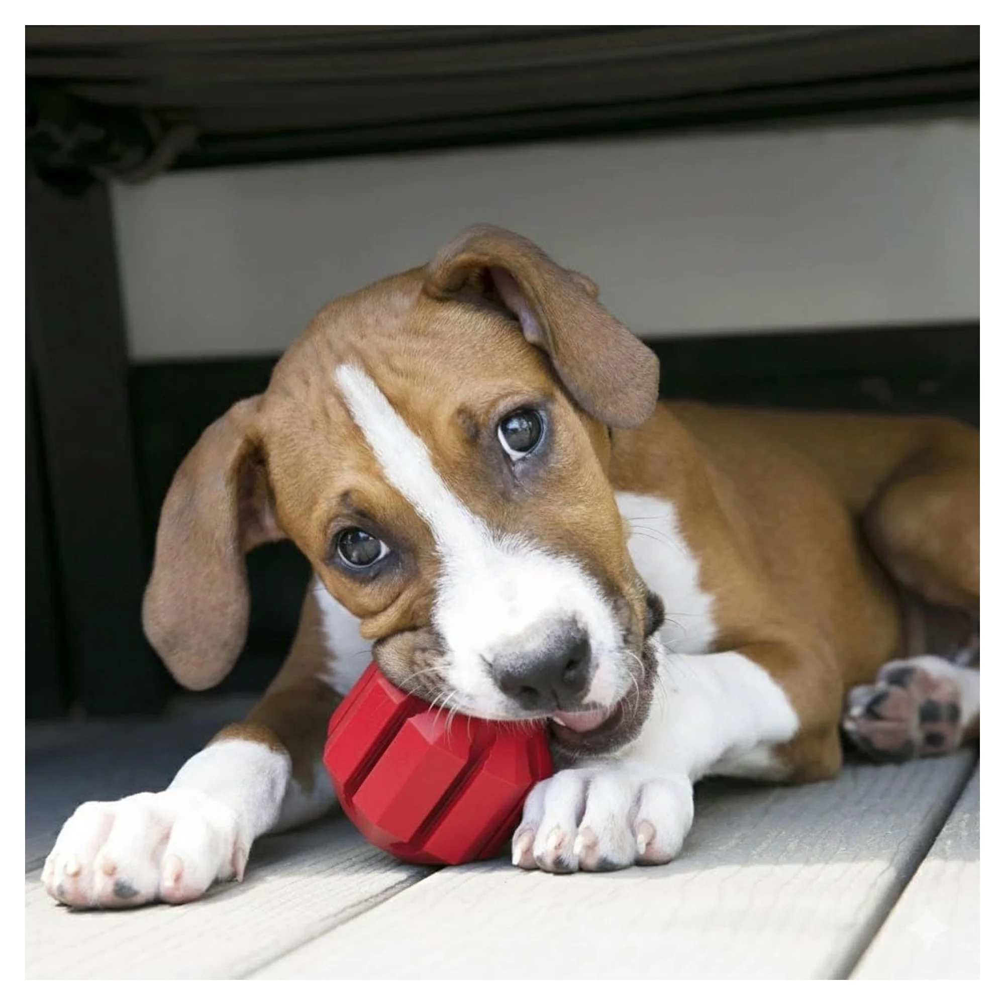 Kong Stuff-A-Ball Çok Amaçlı Köpek Oyuncağı S — Oyuncaklar, 220 g — Görsel 6