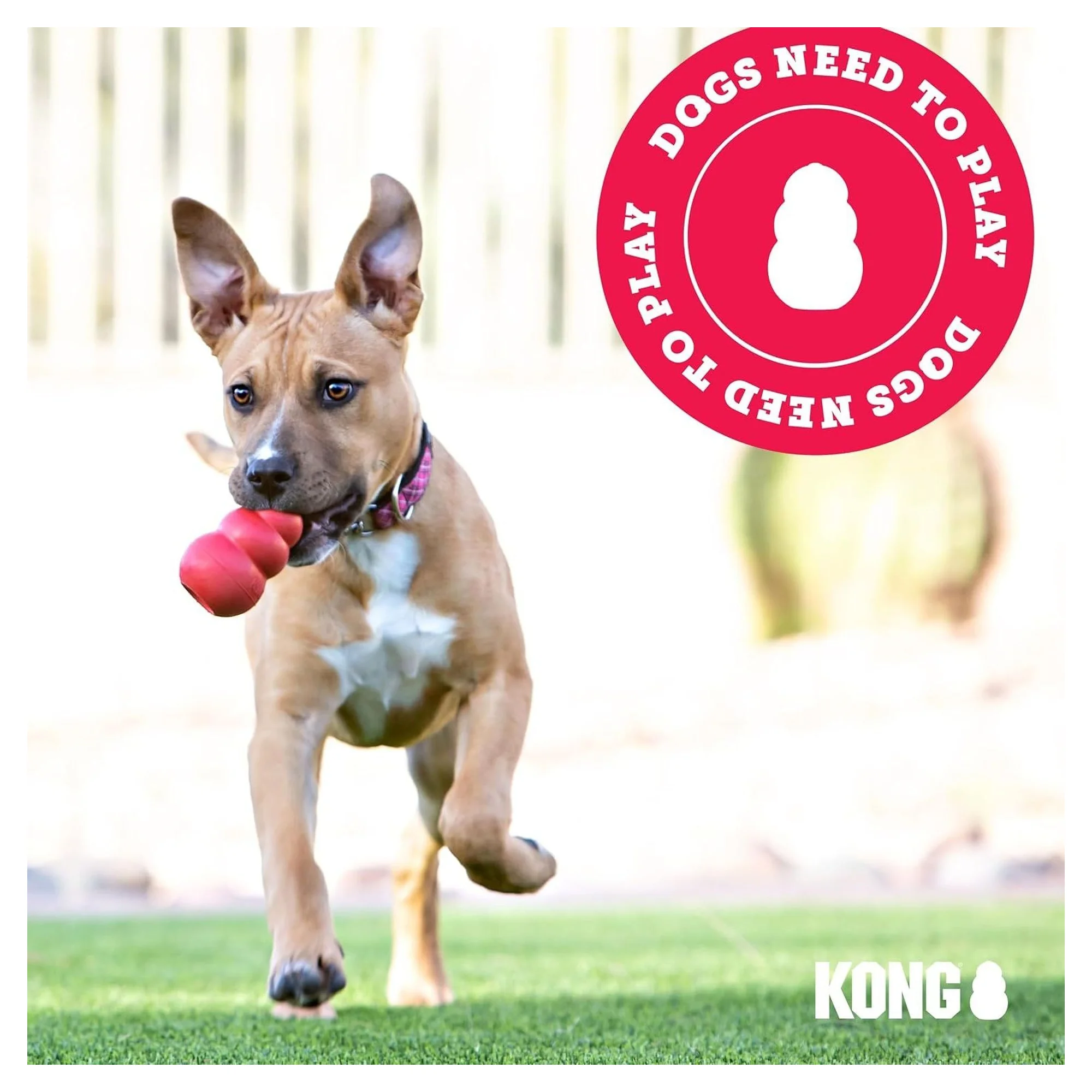 Kong Classic Çok Amaçlı Isırma Köpek Oyuncağı XL — Oyuncaklar, 470 g — Görsel 6