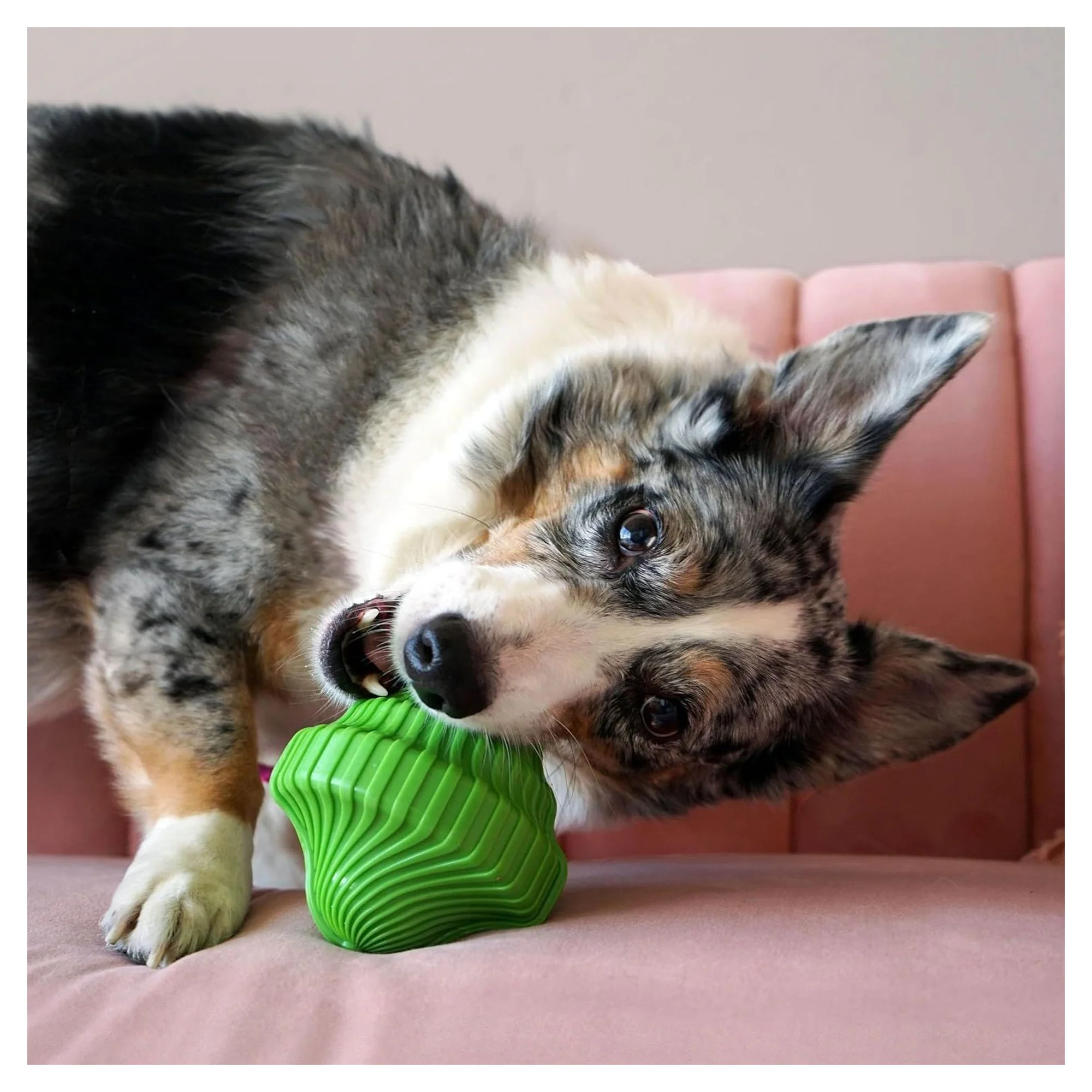 Kong Squeezz Orbitz Dönen Top Şeklinde Köpek Oyuncağı M/L — Toplar, 230 g — Görsel 5