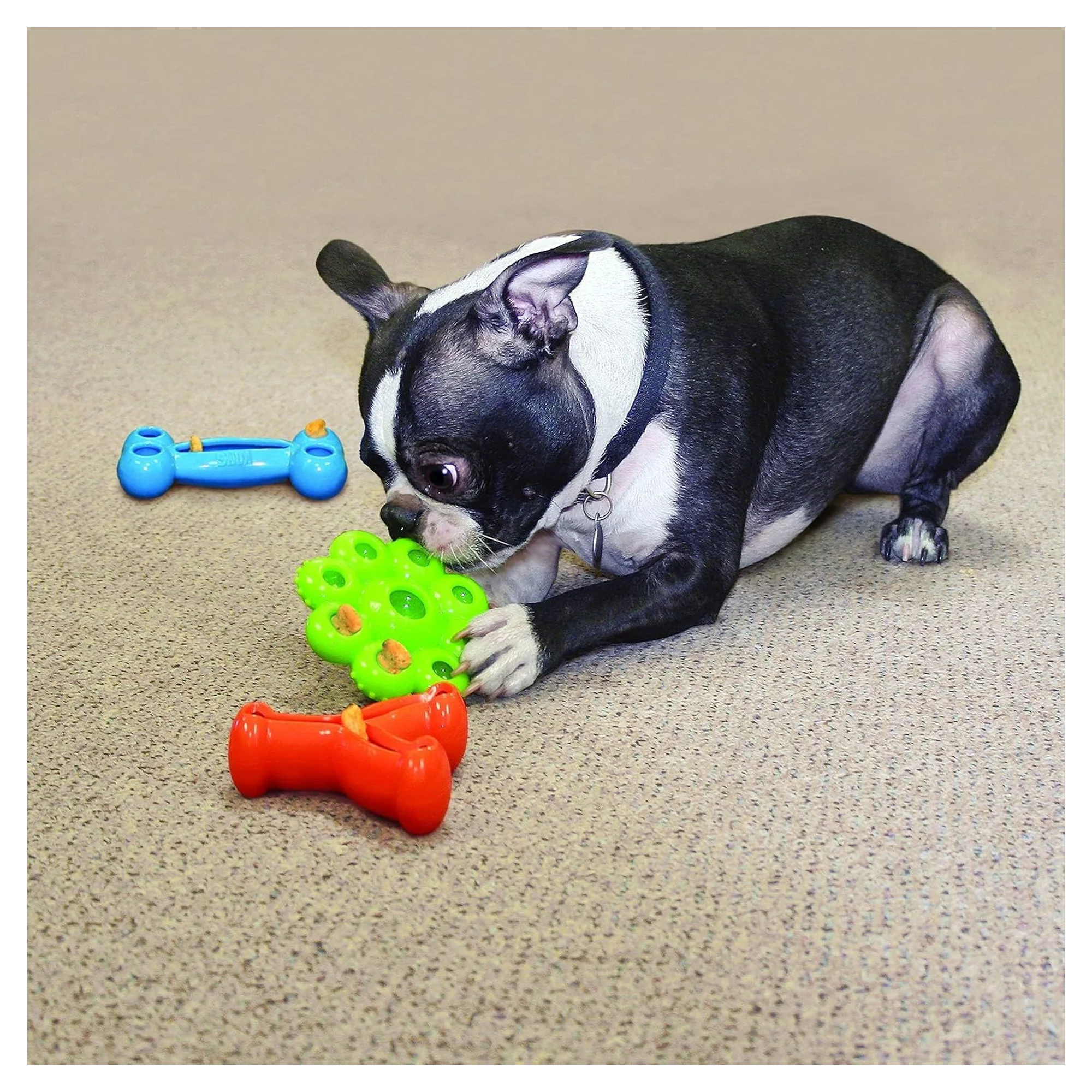 KONG Quest Star Çiçek Şeklinde Köpek Oyuncağı S — Plastik ve Kauçuk Oyuncaklar, 120 g — Görsel 3
