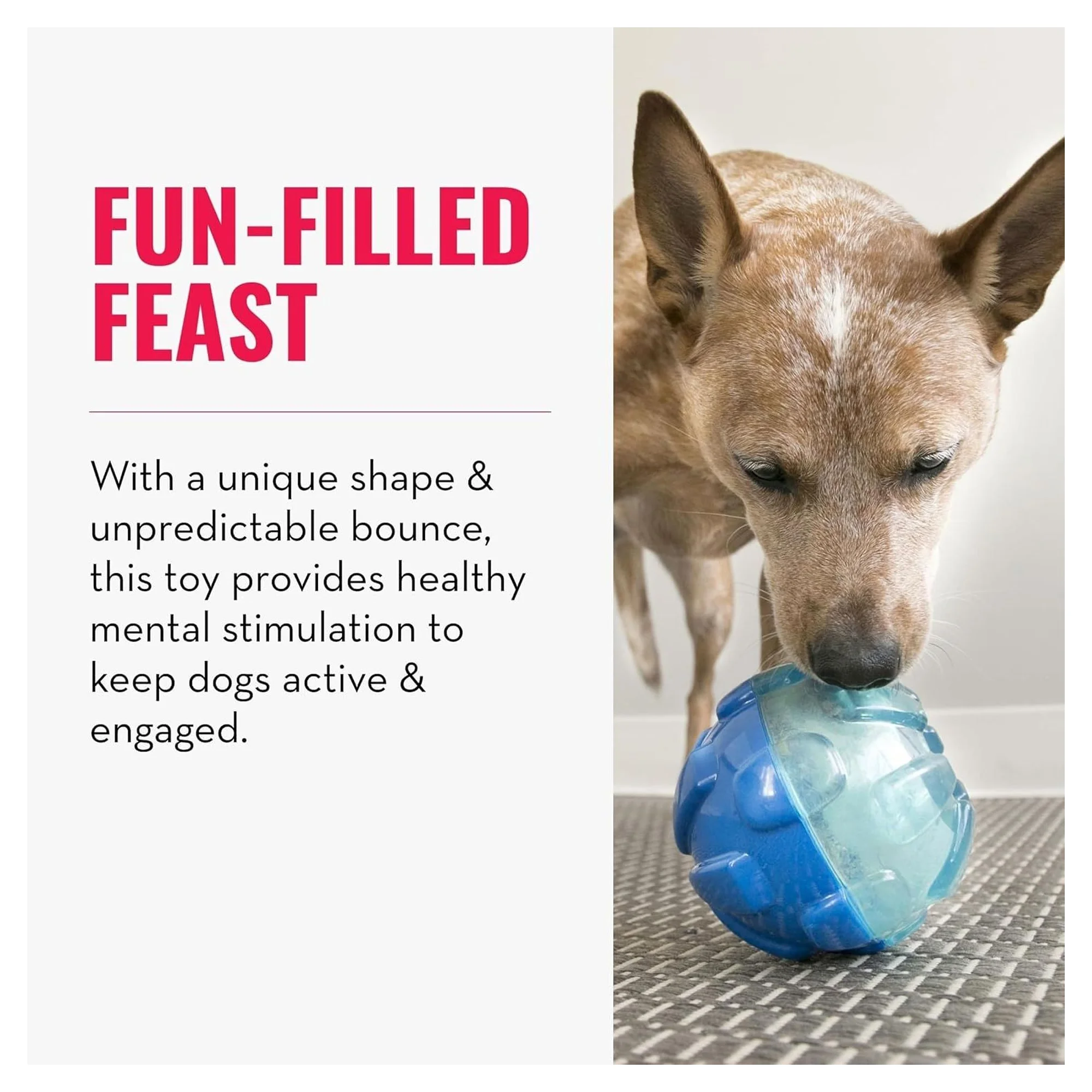 Kong Rewards Ball Köpek Ödül Maması Dağıtma Oyuncağı L — Oyuncaklar, 440 g — Görsel 3