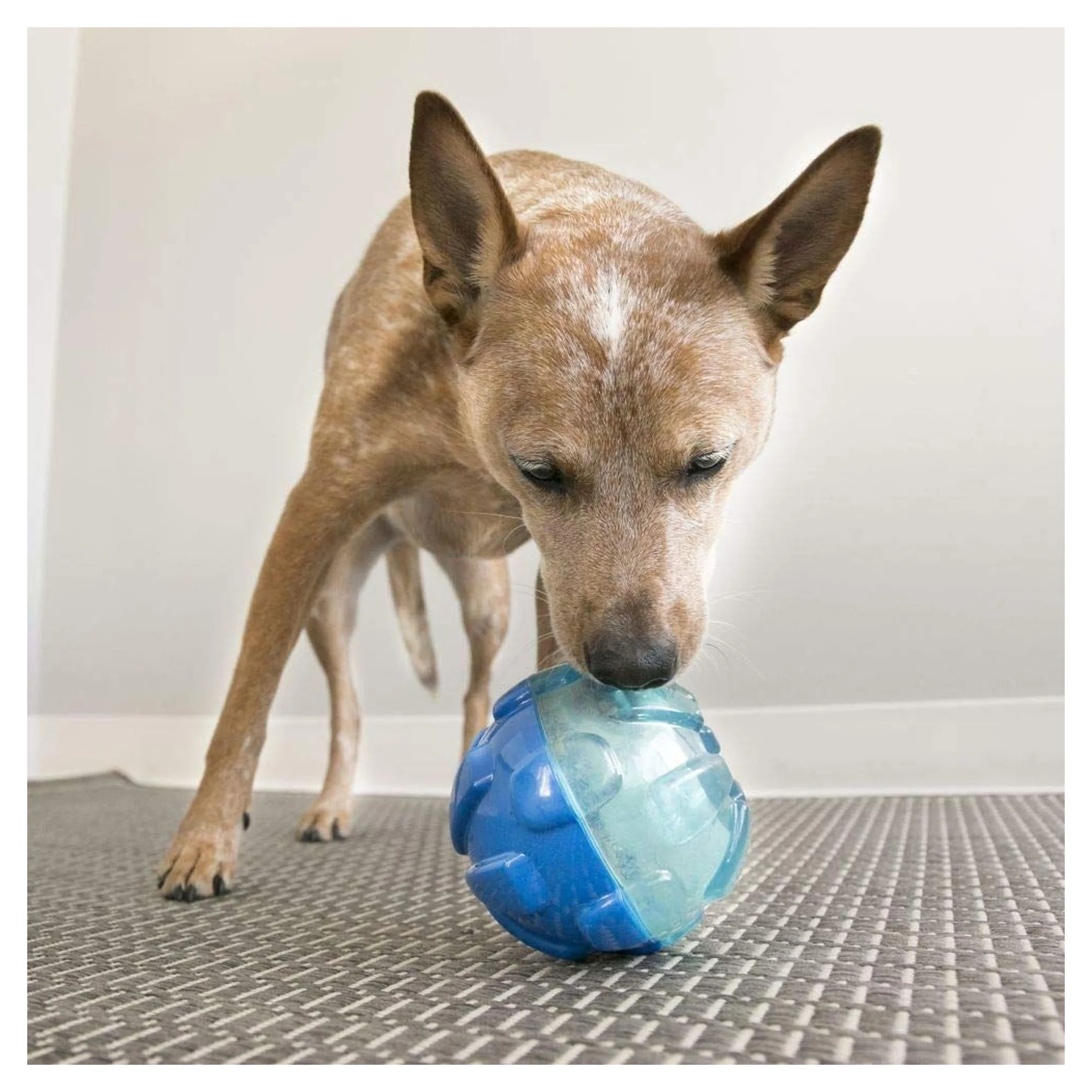 Kong Rewards Ball Köpek Ödül Maması Dağıtma Oyuncağı L — Oyuncaklar, 440 g — Görsel 6