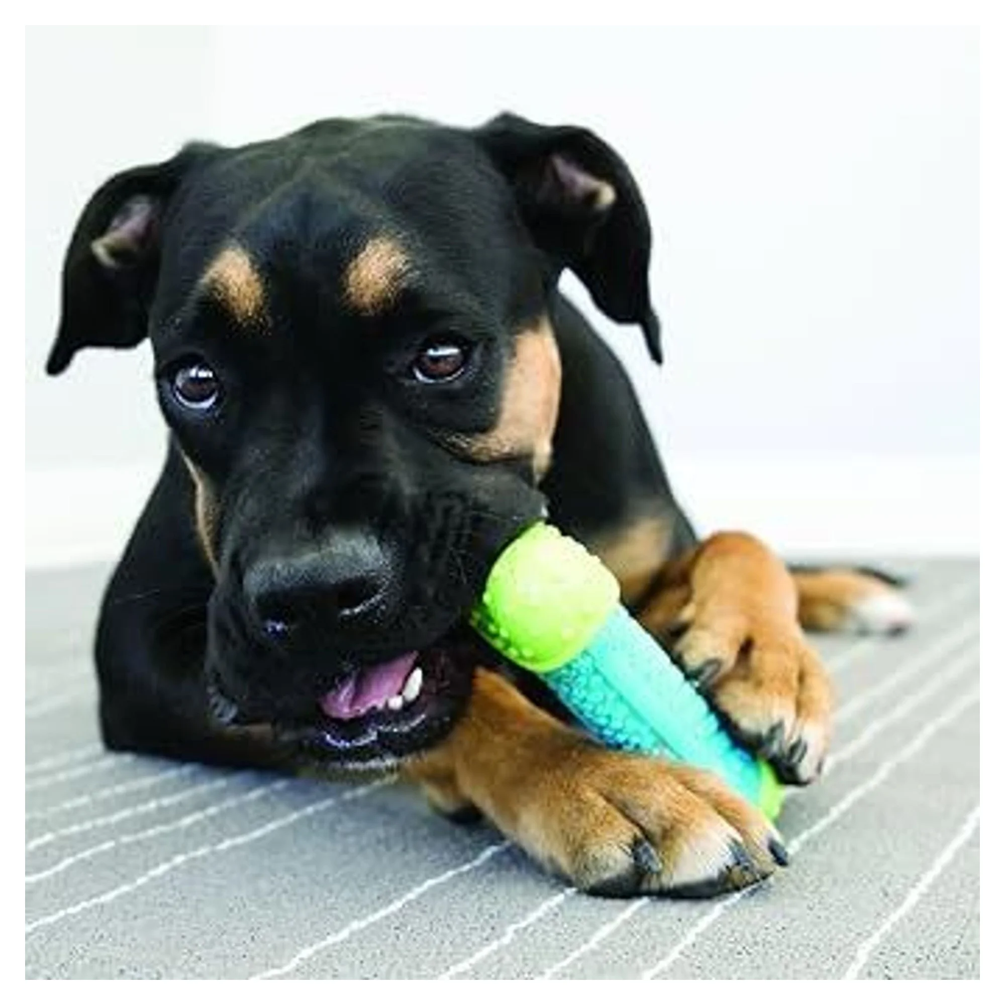 Kong CoreStrength Top Şeklinde Köpek Oyuncağı M — Toplar, 210 g — Görsel 4