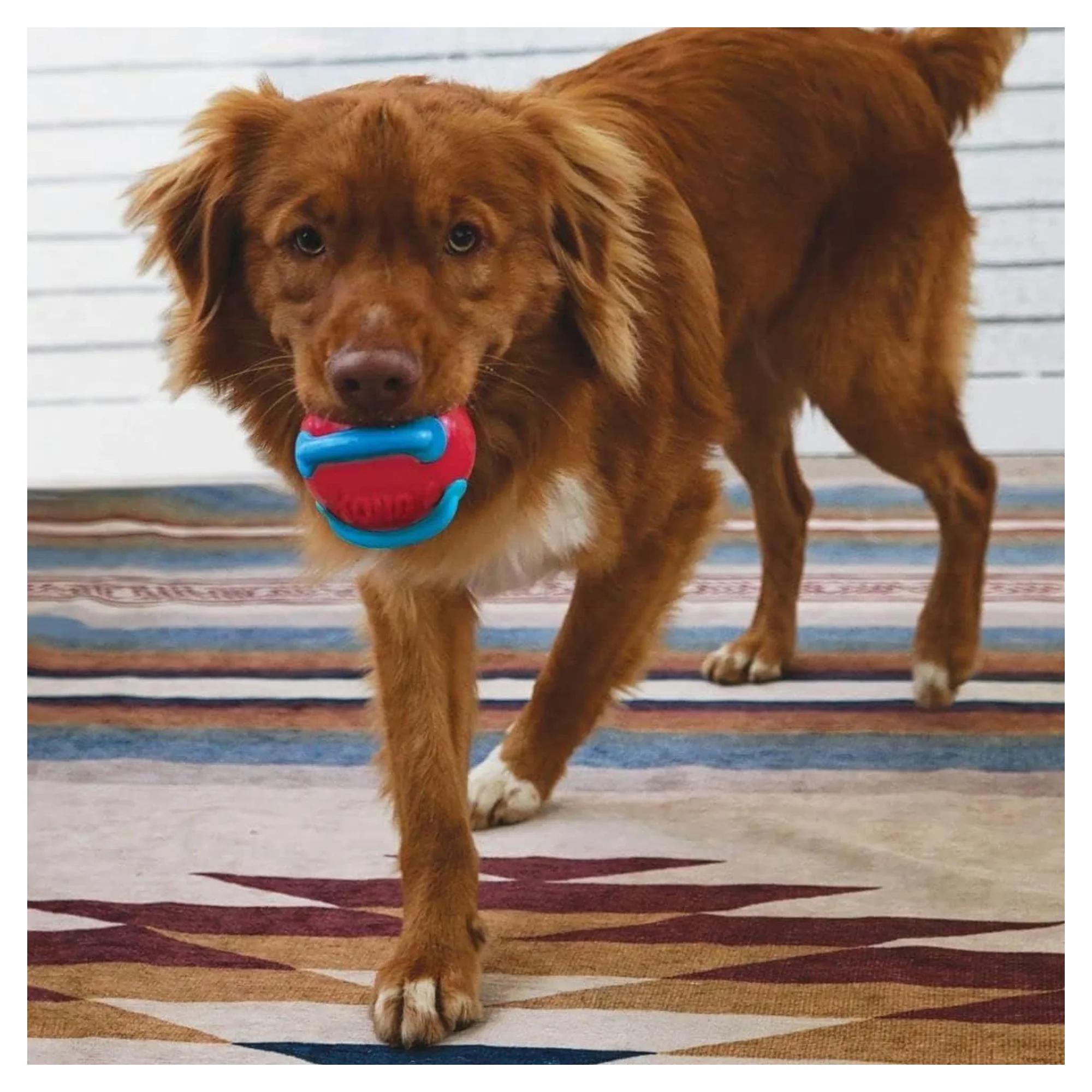 Kong Jaxx Brights Sandviç Şeklinde Köpek Oyuncağı M — Plastik ve Kauçuk Oyuncaklar, 110 g — Görsel 4