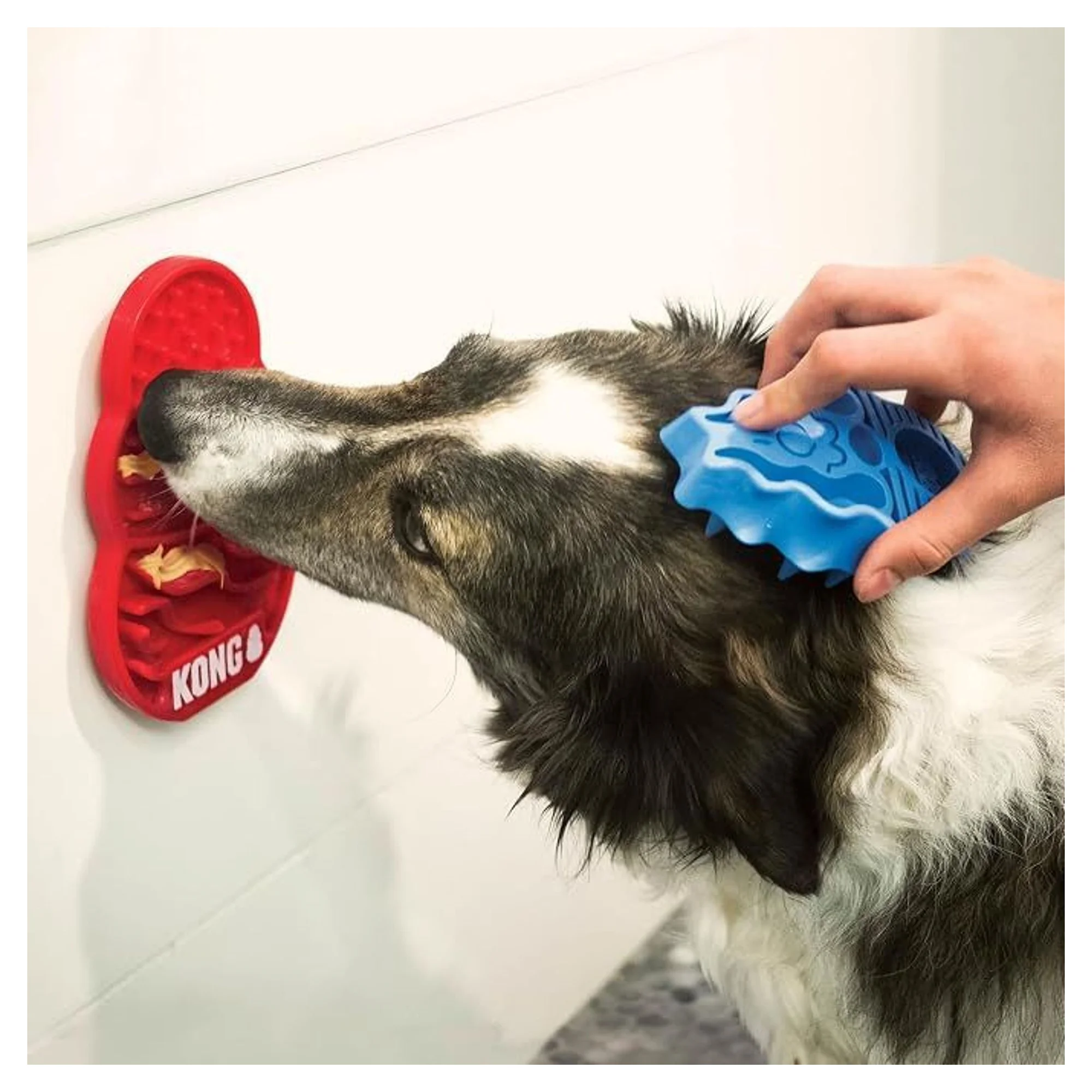 Kong Licks Sıvı Ödül Maması Köpek Oyuncağı S — Oyuncaklar, 120 g — Görsel 4