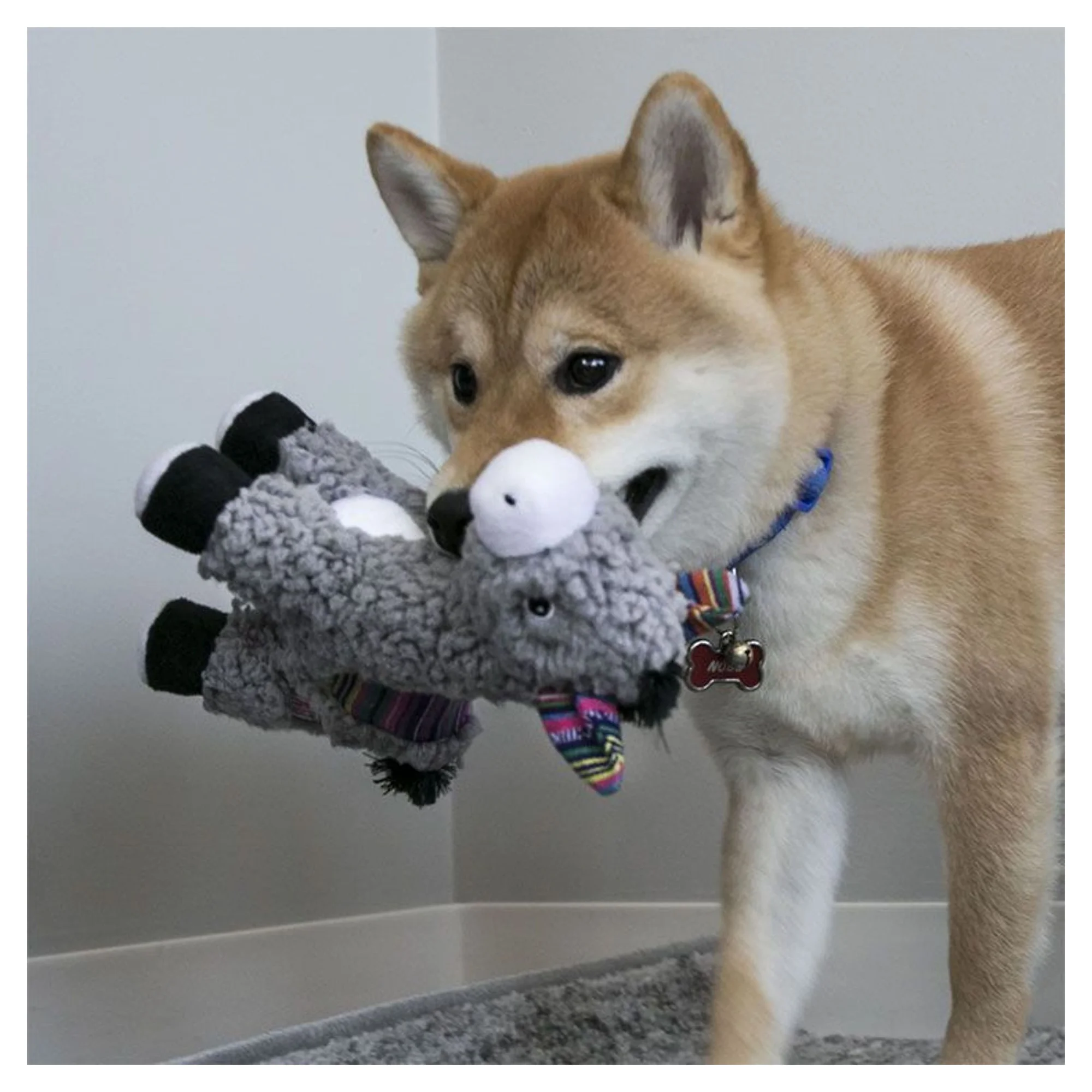 Kong Kong Sherps Eşek Şeklinde Peluş Köpek Oyuncağı M — Kumaş ve Peluş Oyuncaklar — Görsel 2