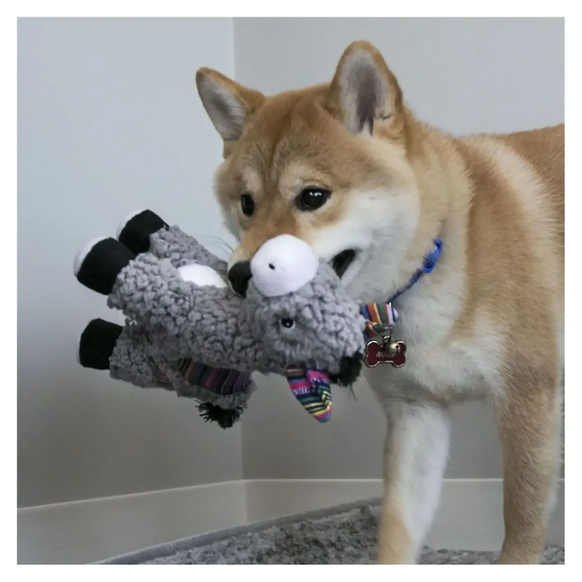 Kong Sherps Eşek Şeklinde Peluş Köpek Oyuncağı M — Kumaş ve Peluş Oyuncaklar, 110 g — Görsel 6