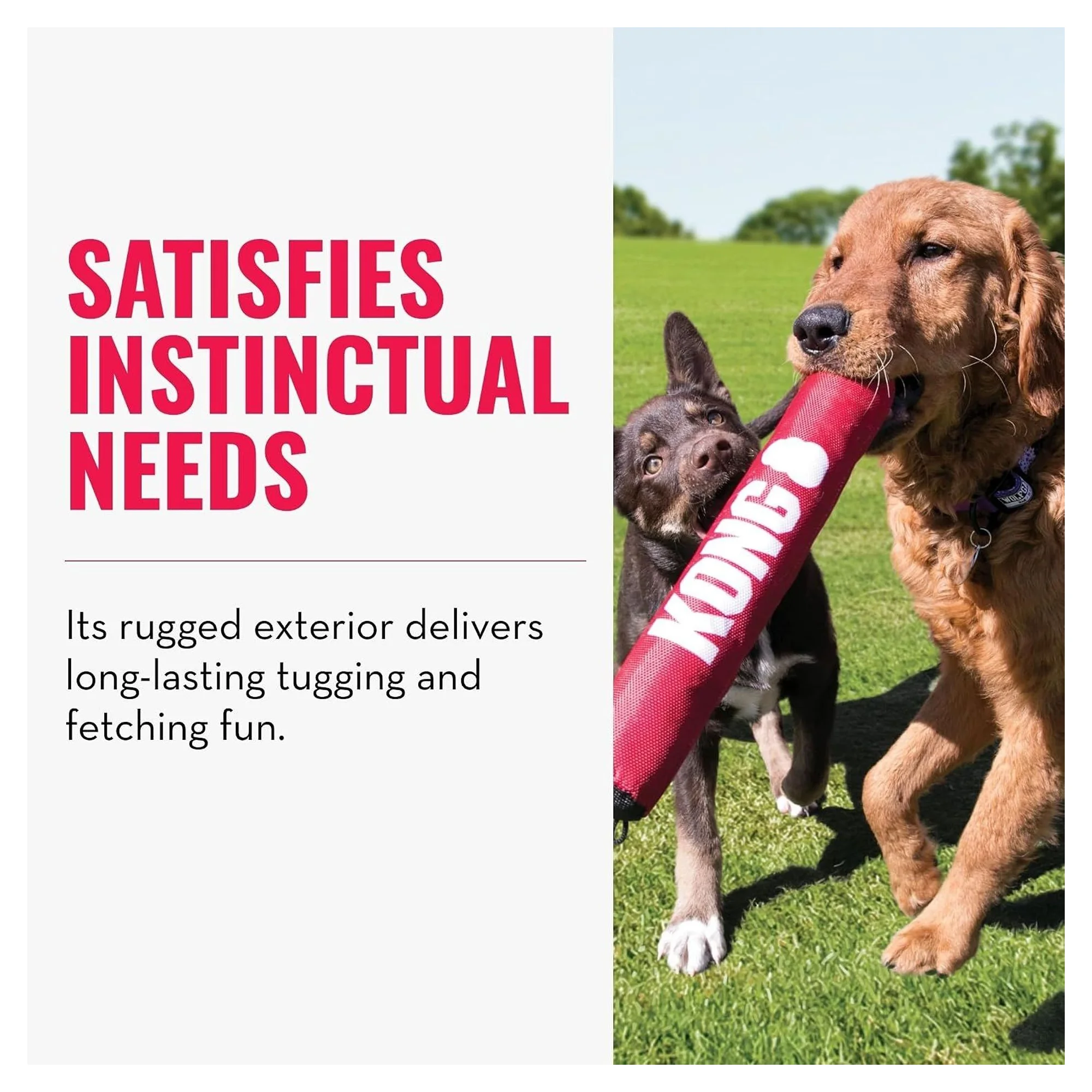 Kong Signature Stick Çubuk Şeklinde Köpek Oyuncağı M — Oyuncaklar, 110 g — Görsel 4