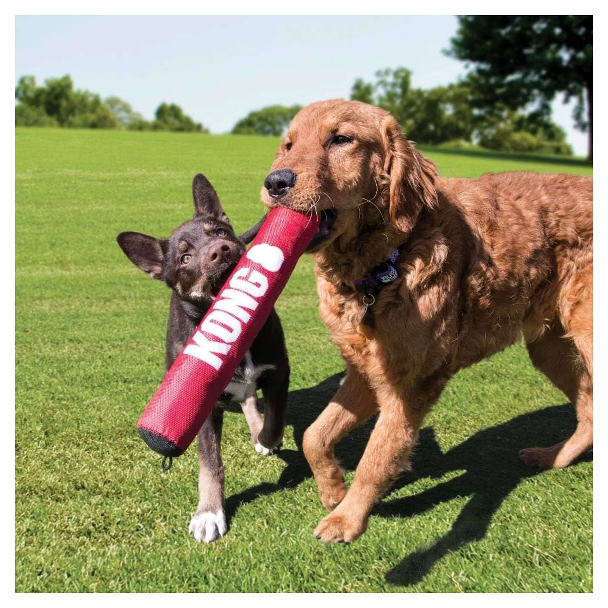Kong Signature Stick Çubuk Şeklinde Köpek Oyuncağı M — Oyuncaklar, 110 g — Görsel 6