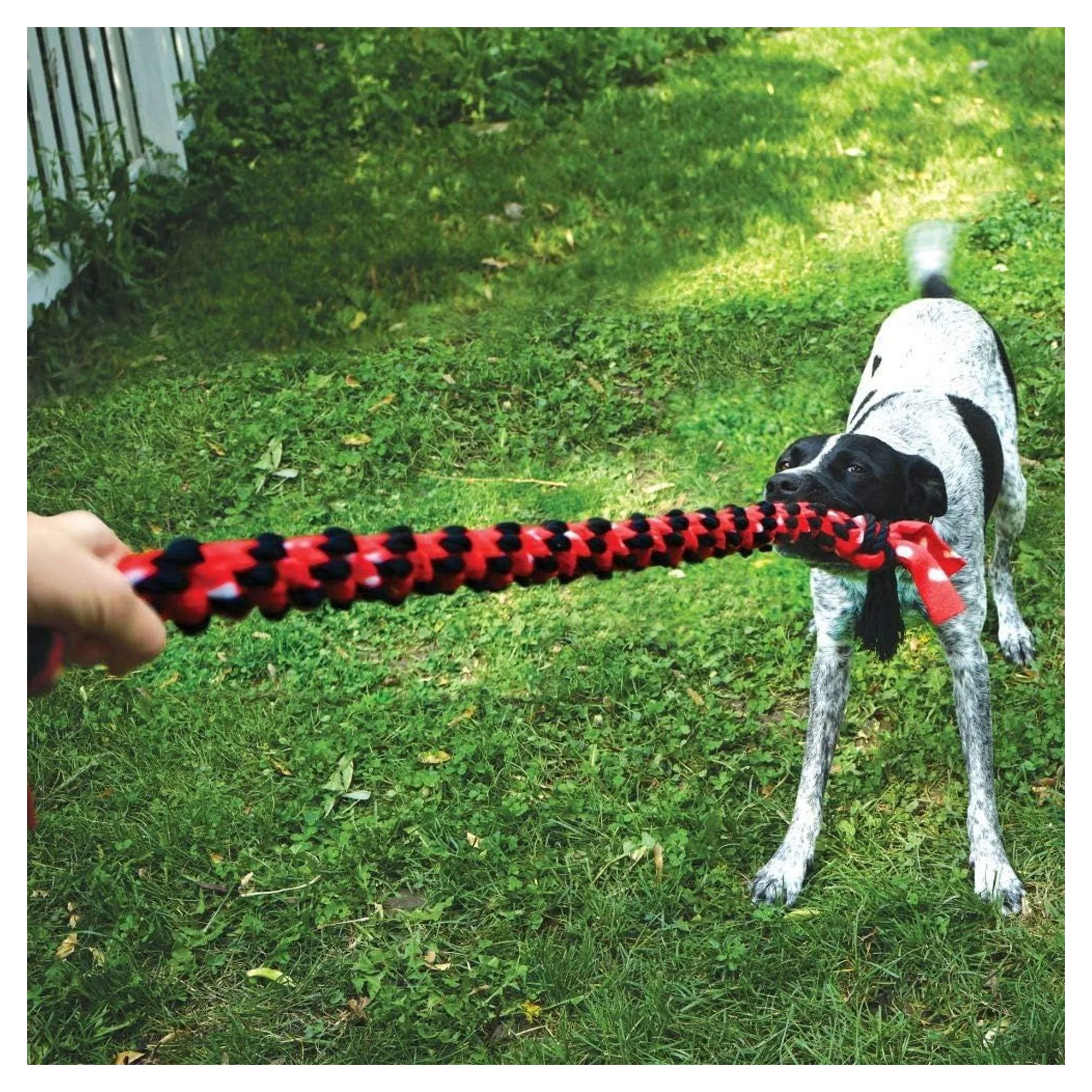 Kong Signature Rope Çift Düğümlü İp Köpek Diş İpi Oyuncağı 50 CM — Diş İpleri, 230 g — Görsel 4
