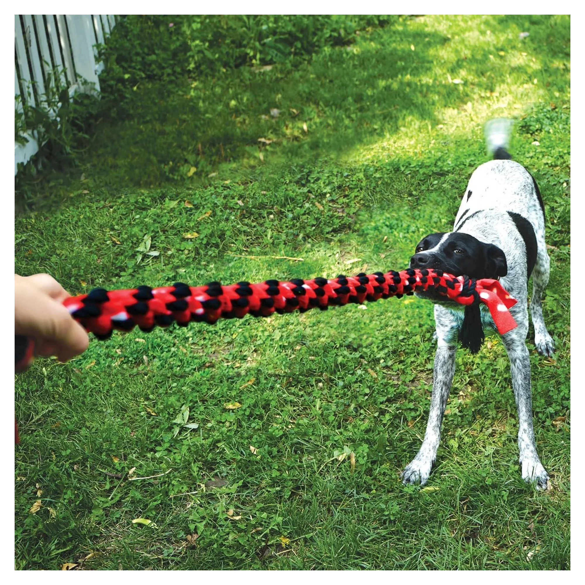 Kong Signature Rope Mega Çift Düğümlü Diş İpi Köpek Oyuncağı 101 cm — Diş İpleri, 470 g — Görsel 4