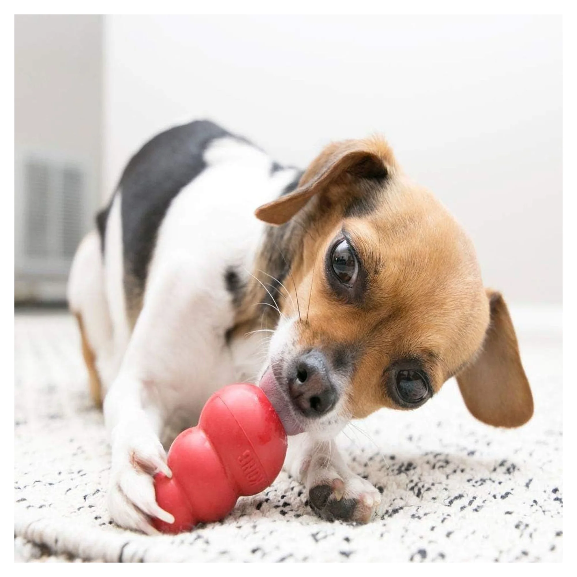 Kong Classic Çok Amaçlı Isırma Oyuncağı Köpekler İçin Plastik ve Kauçuk Oyuncak XS — Plastik ve Kauçuk Oyuncaklar, 110 g — Görsel 6