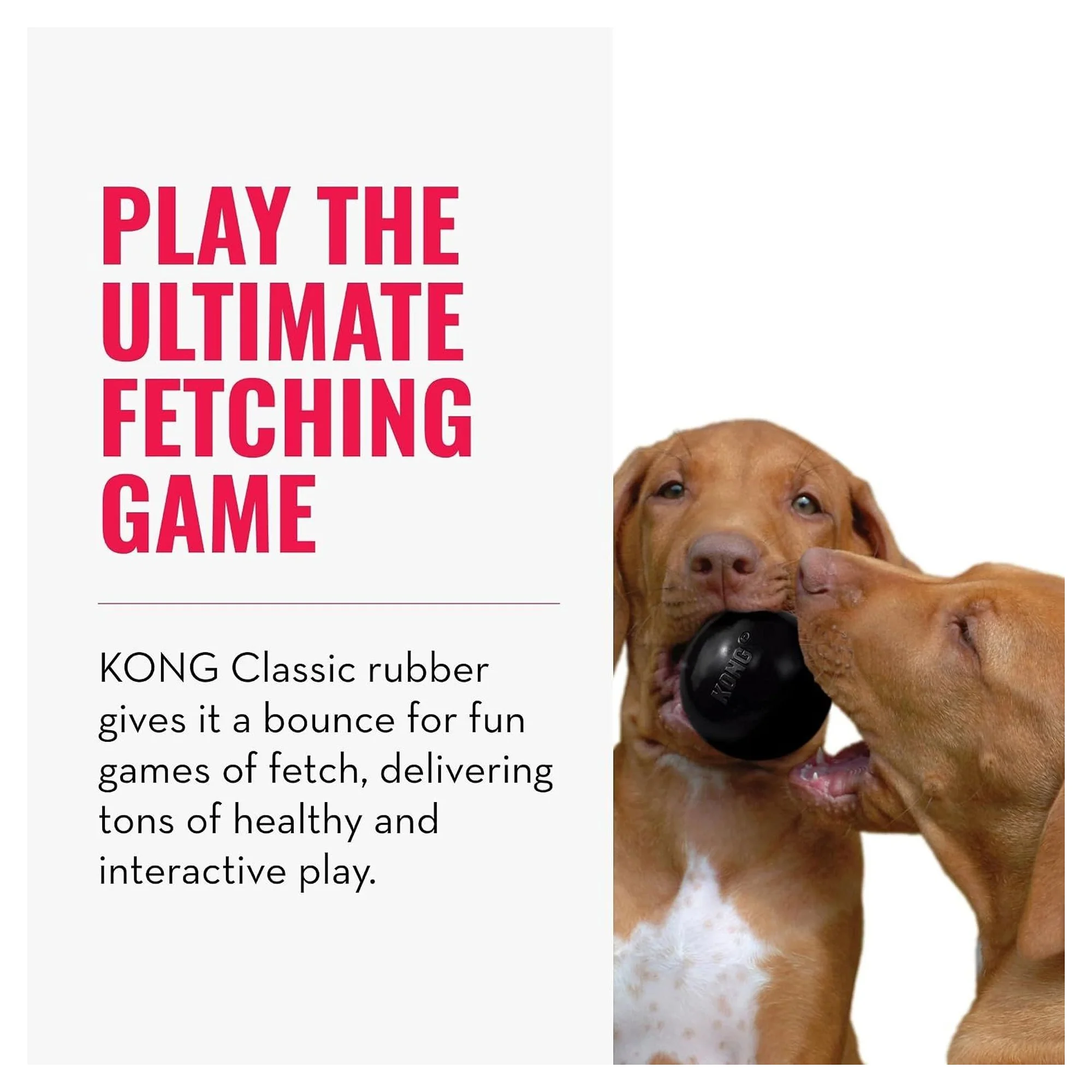 Kong Extreme Ultra Sert Top Köpek Oyuncağı S — Toplar, 220 g — Görsel 4