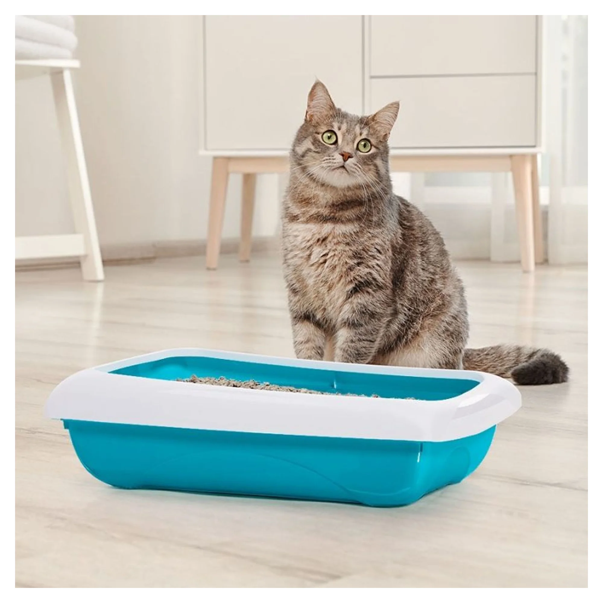 Imac Duo Mavi/Beyaz Kedi Tuvaleti ve Kürek 59x40x28 CM — Kedi Tuvalet Ürünleri — Görsel 2