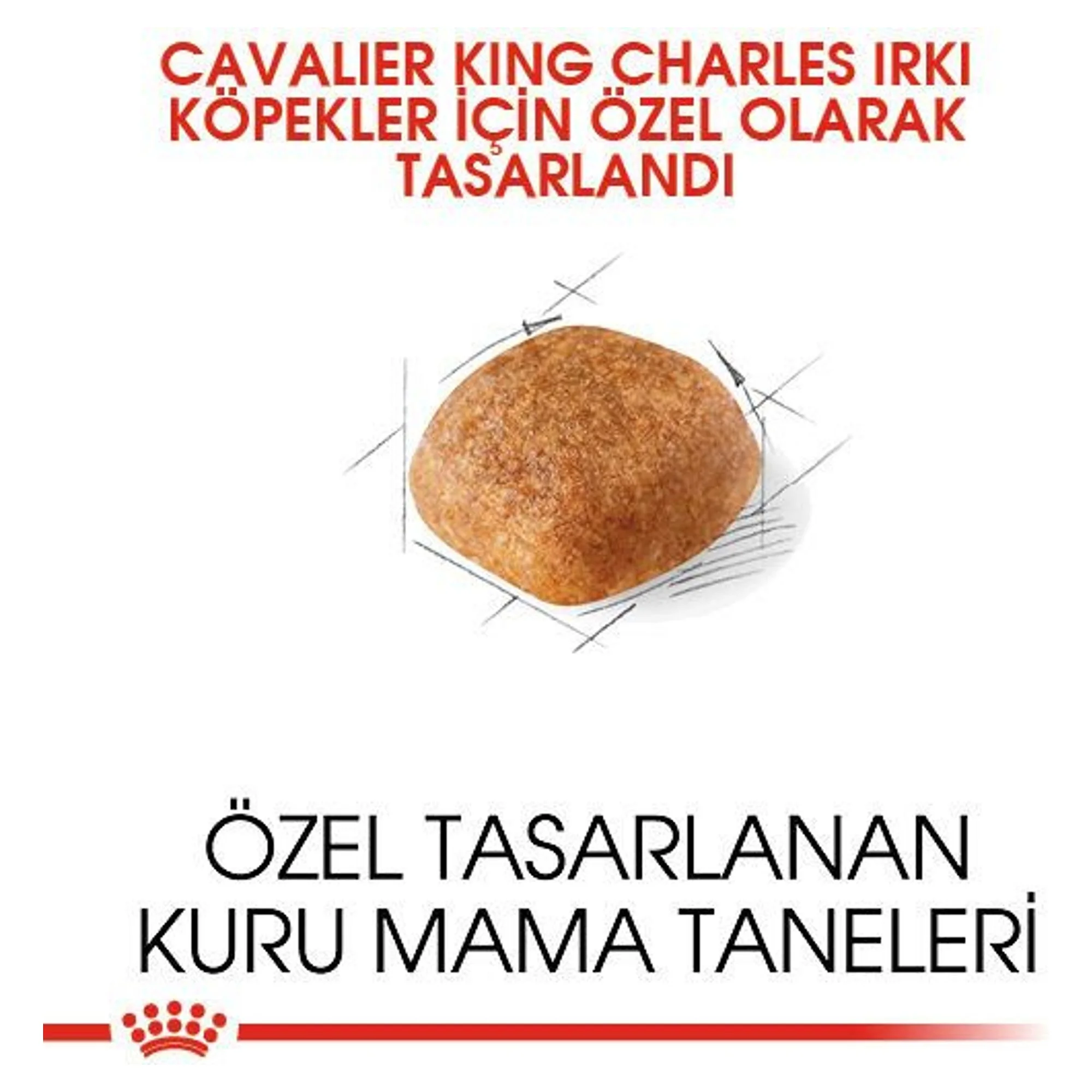 Royal Canin Royal Canin Adult Cavalier King Charles Yetişkin Köpek Maması 1.5 KG — Normal, 1.6 kg — Görsel 5
