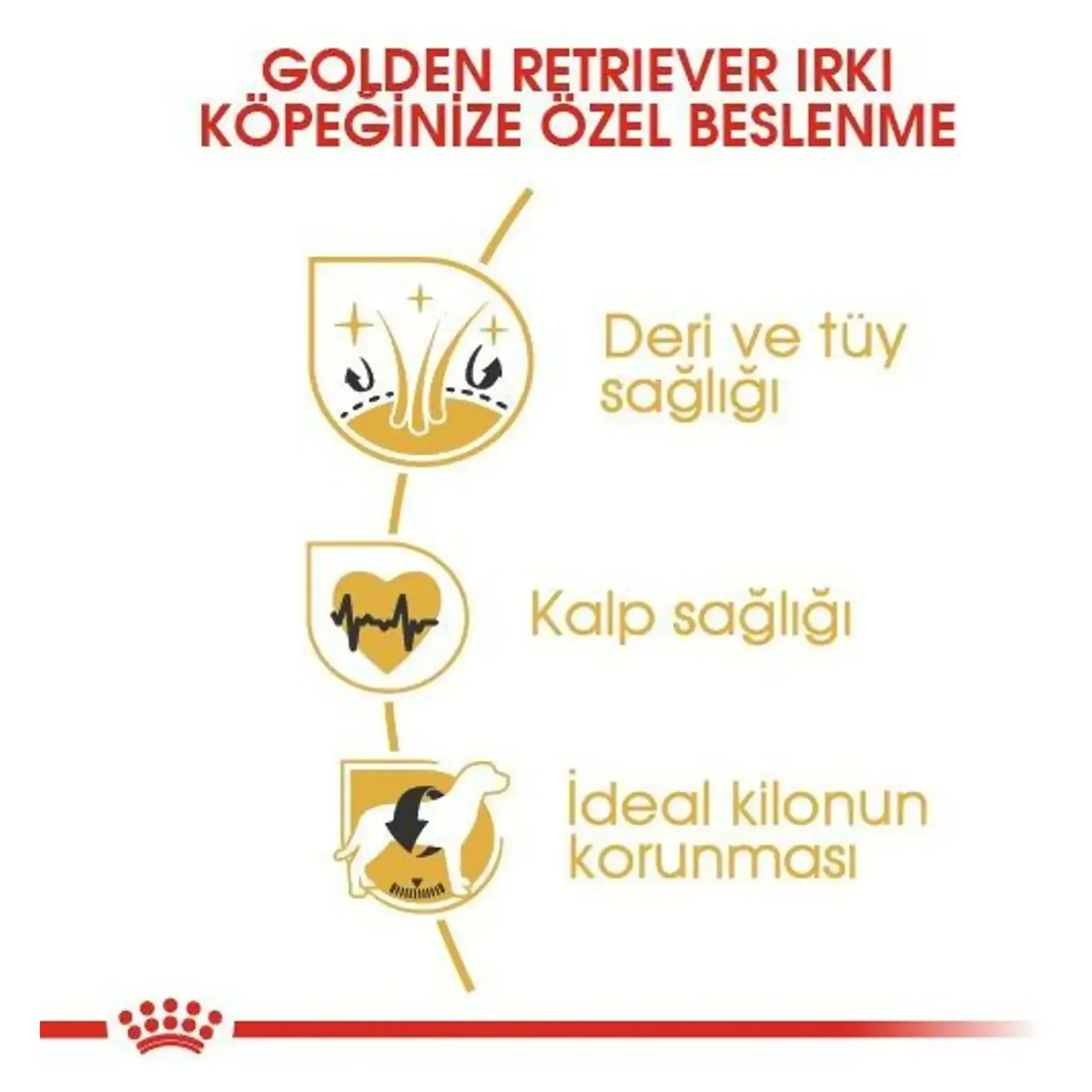 Royal Canin Royal Canin Golden Retriever Yetişkin Köpek Maması 12 KG — Normal, 12.3 kg — Görsel 3
