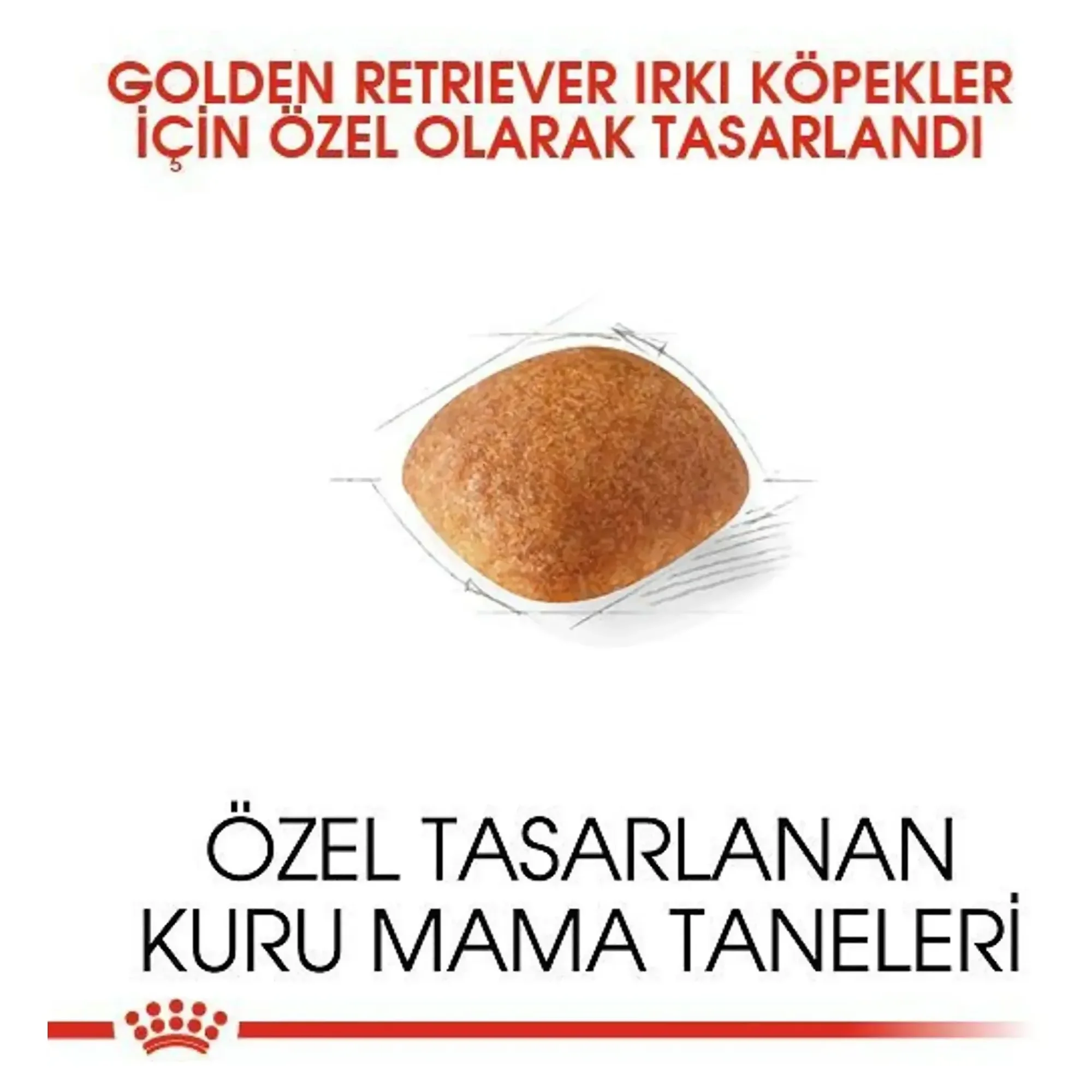 Royal Canin Royal Canin Golden Retriever Yetişkin Köpek Maması 12 KG — Normal, 12.3 kg — Görsel 5