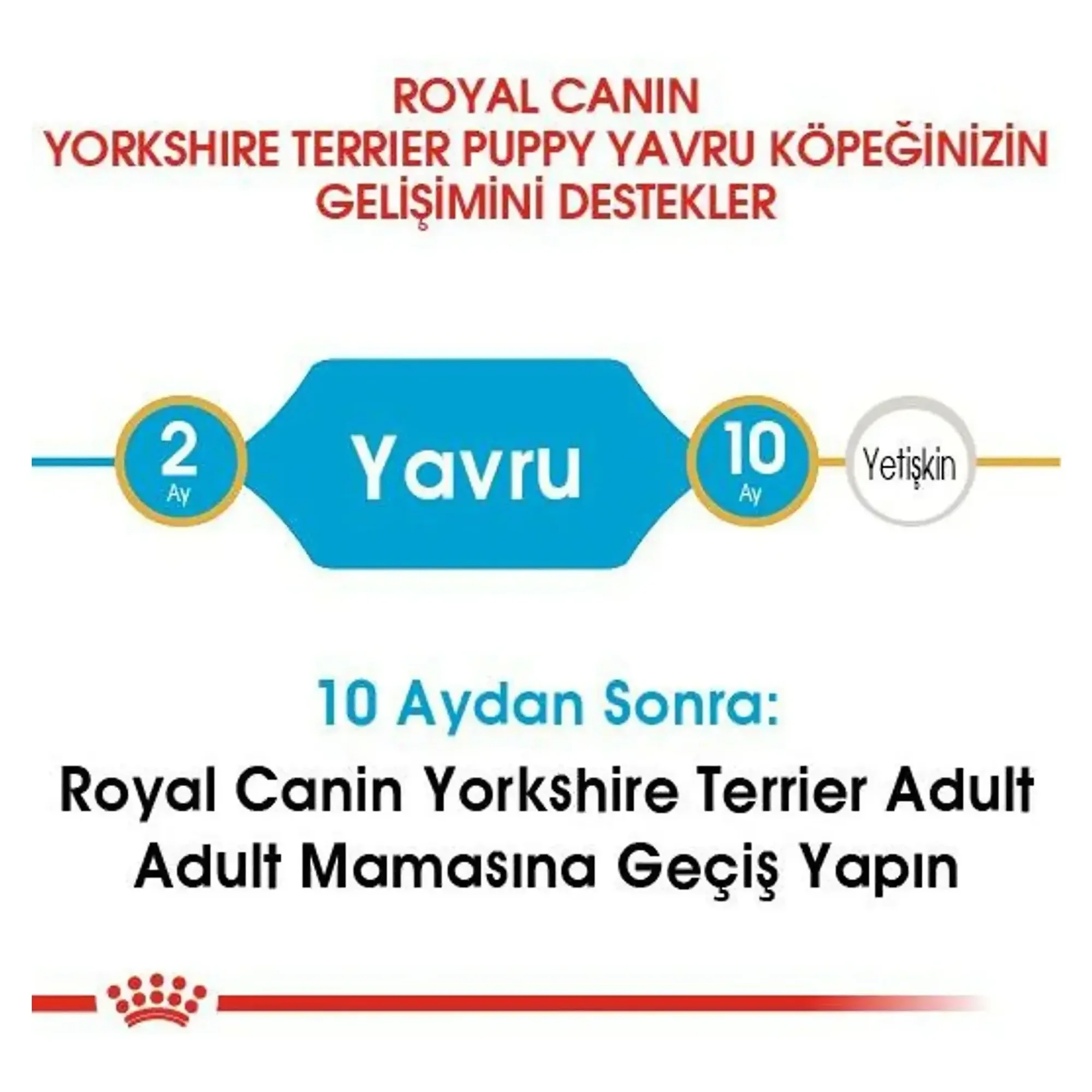 Royal Canin Royal Canin Puppy Yorkshire Terrier Yavru Köpek Maması 1.5 KG — Normal, 1.6 kg — Görsel 4