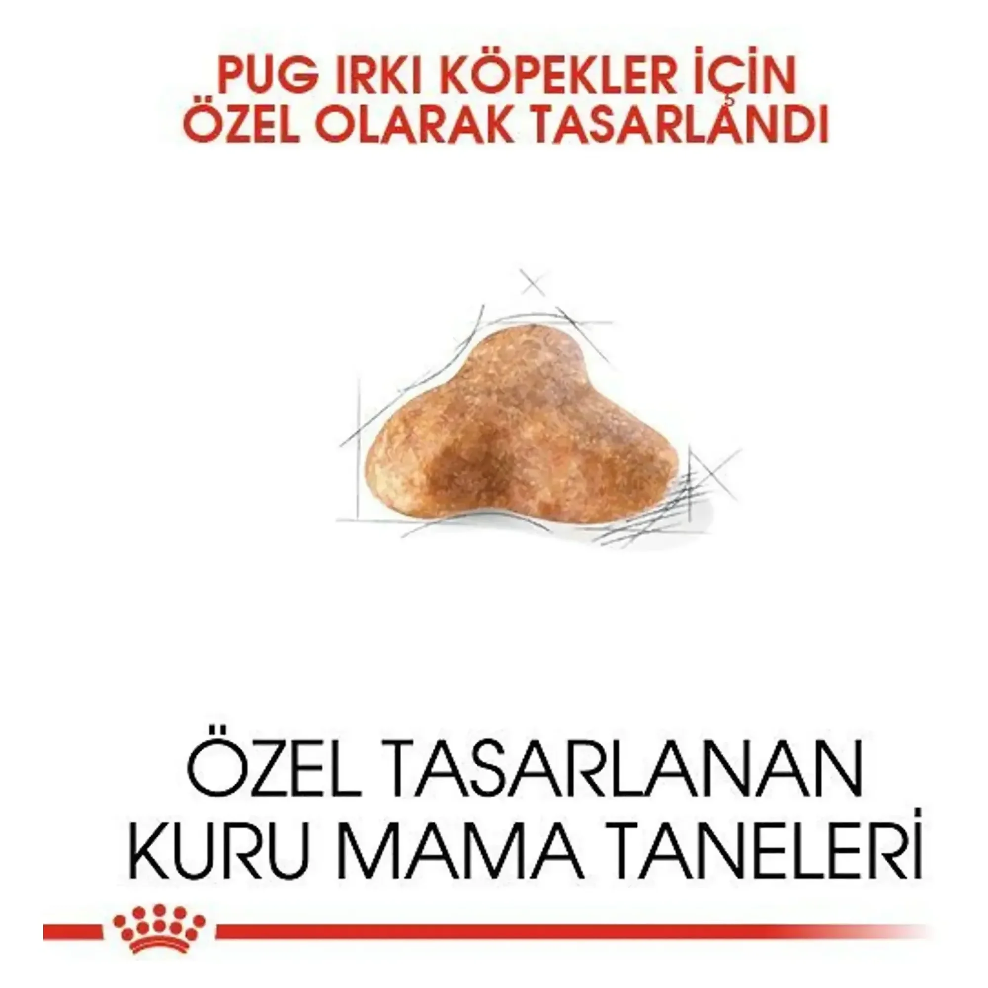 Royal Canin Royal Canin Pug Yetişkin Köpek Maması 1.5 KG — Normal, 1.6 kg — Görsel 5