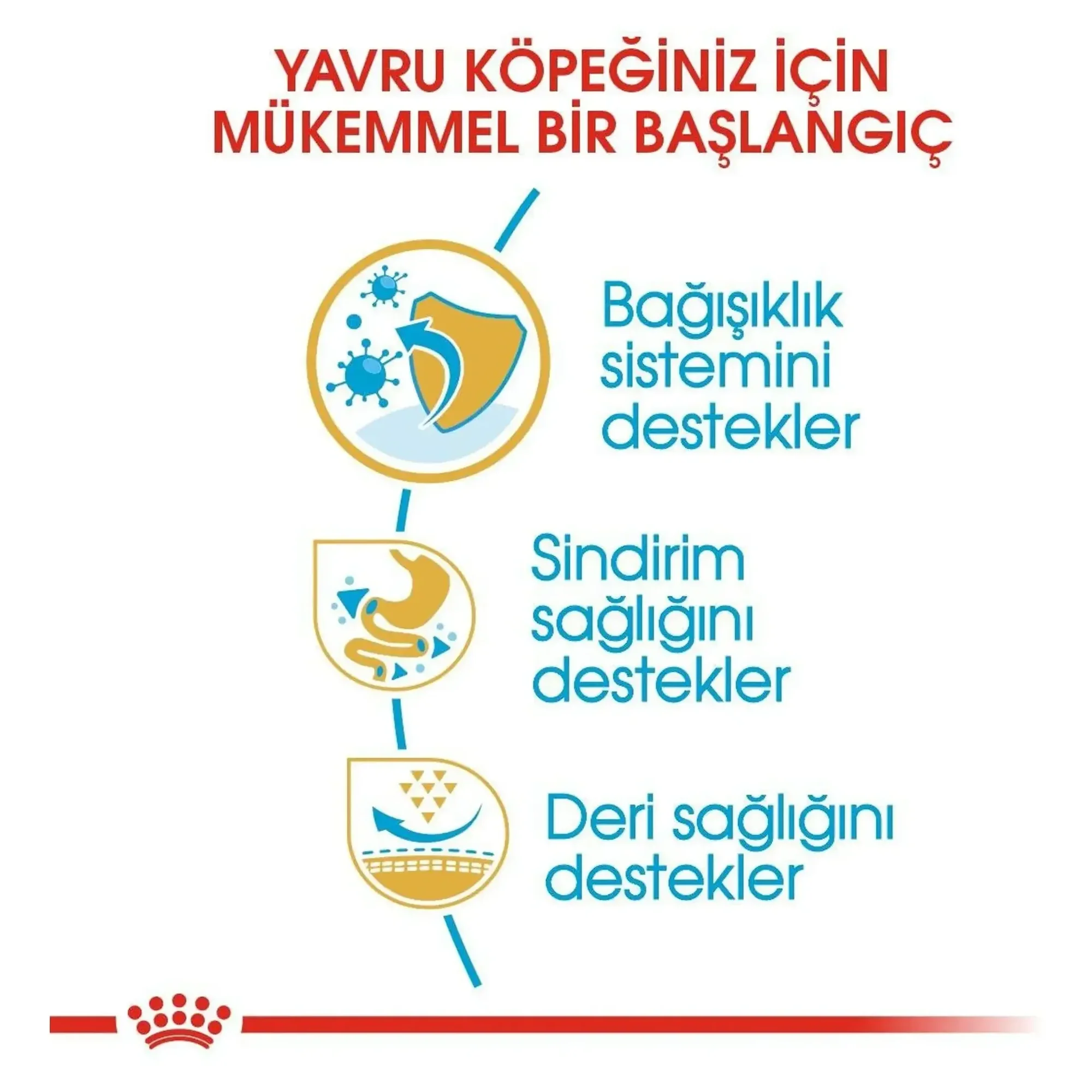 Royal Canin Royal Canin French Bulldog Junior Yavru Köpek Maması 3 KG — Normal, 3.5 kg — Görsel 4