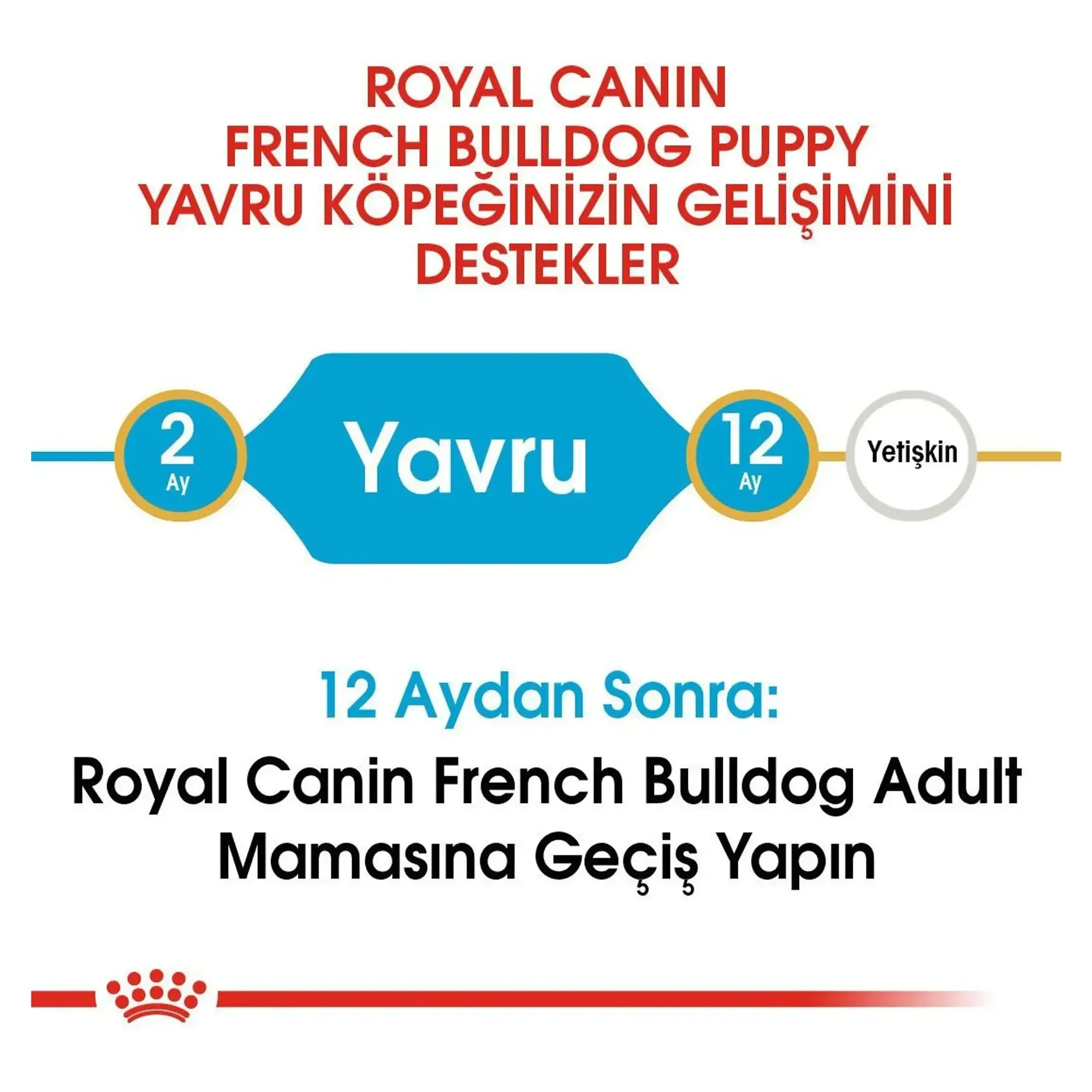 Royal Canin Royal Canin French Bulldog Junior Yavru Köpek Maması 3 KG — Normal, 3.5 kg — Görsel 5