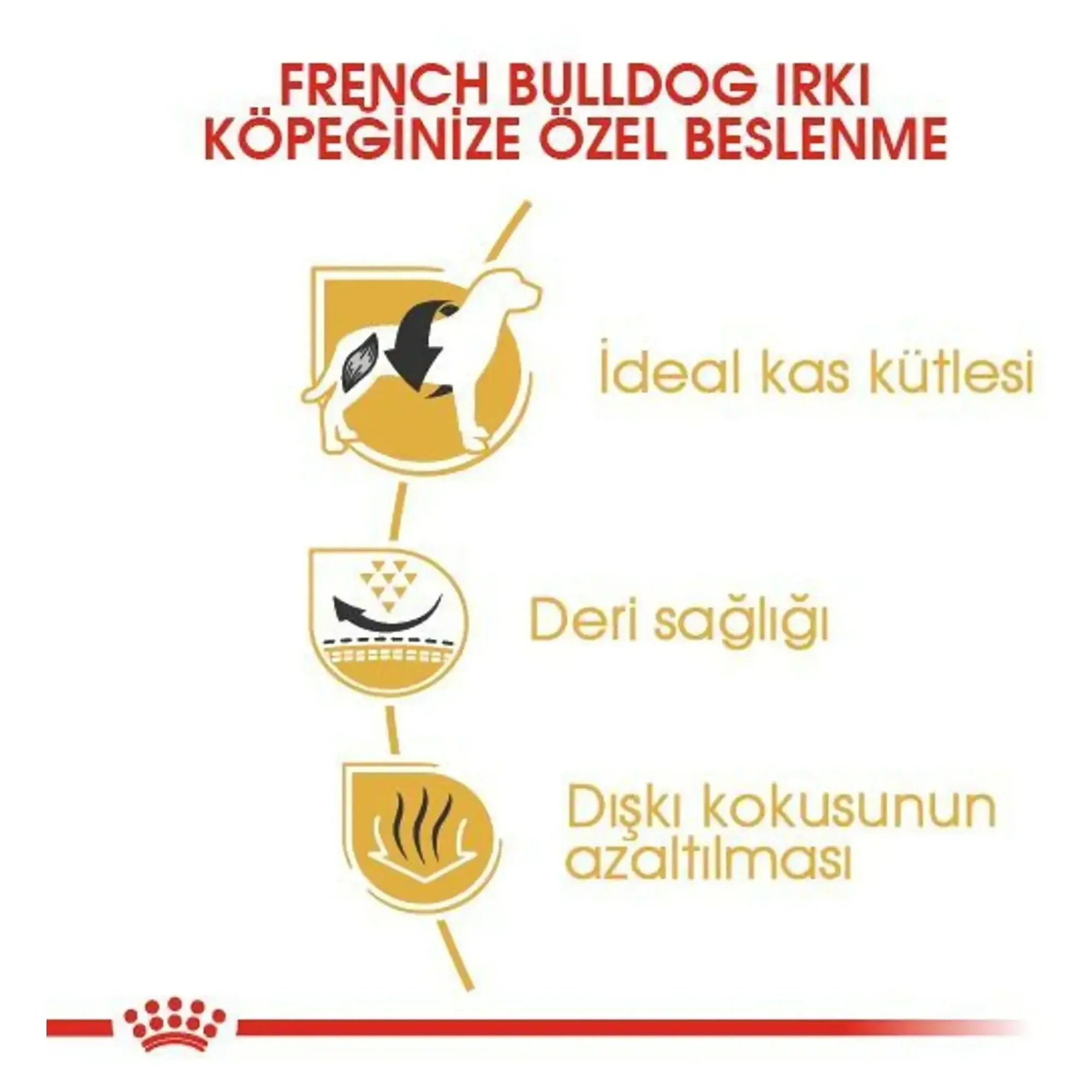 Royal Canin Royal Canin French Bulldog Yetişkin Köpek Maması 3 KG — Normal, 3.1 kg — Görsel 4