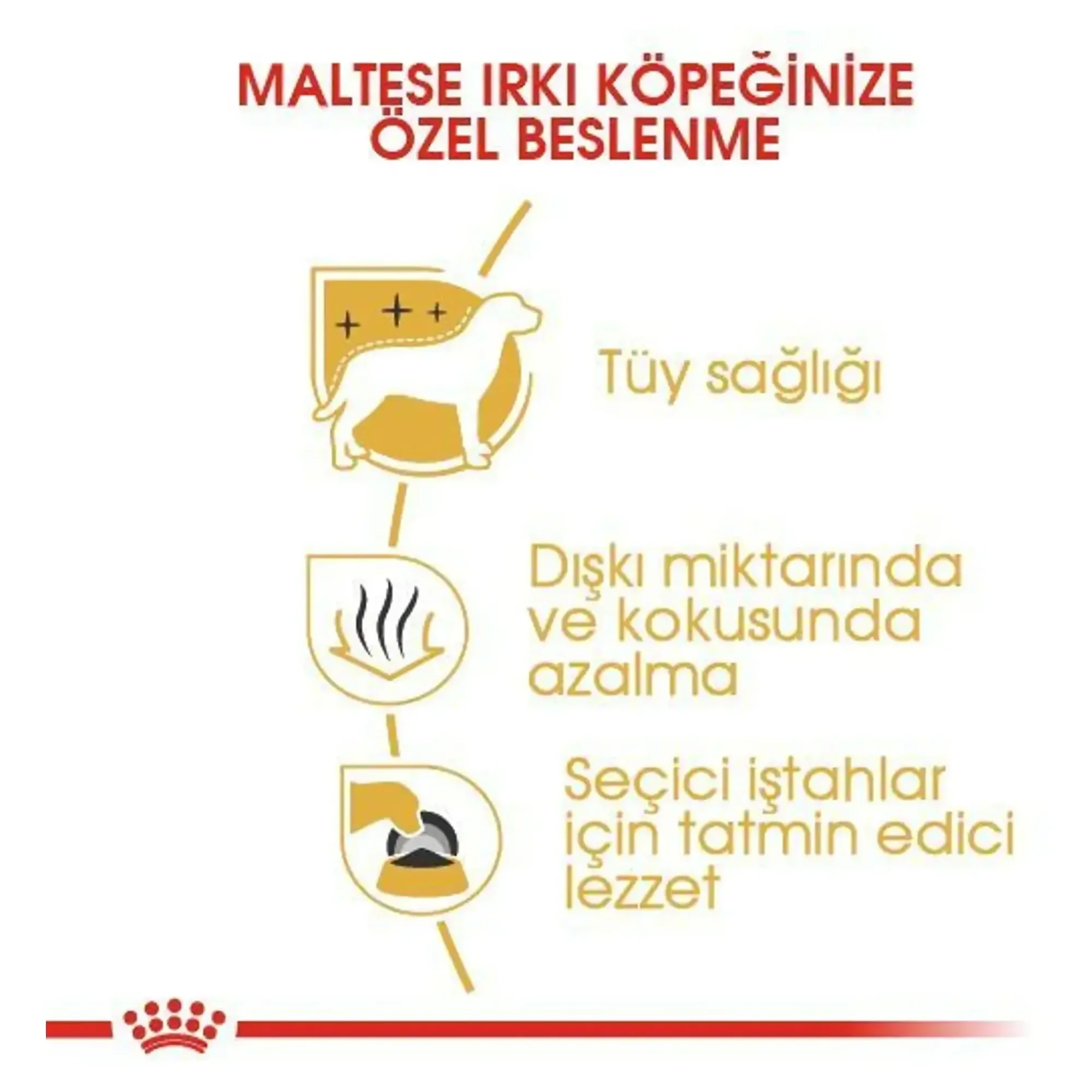 Royal Canin Royal Canin Maltese Yetişkin Köpek Maması 1.5 KG — Normal, 1.5 kg — Görsel 4