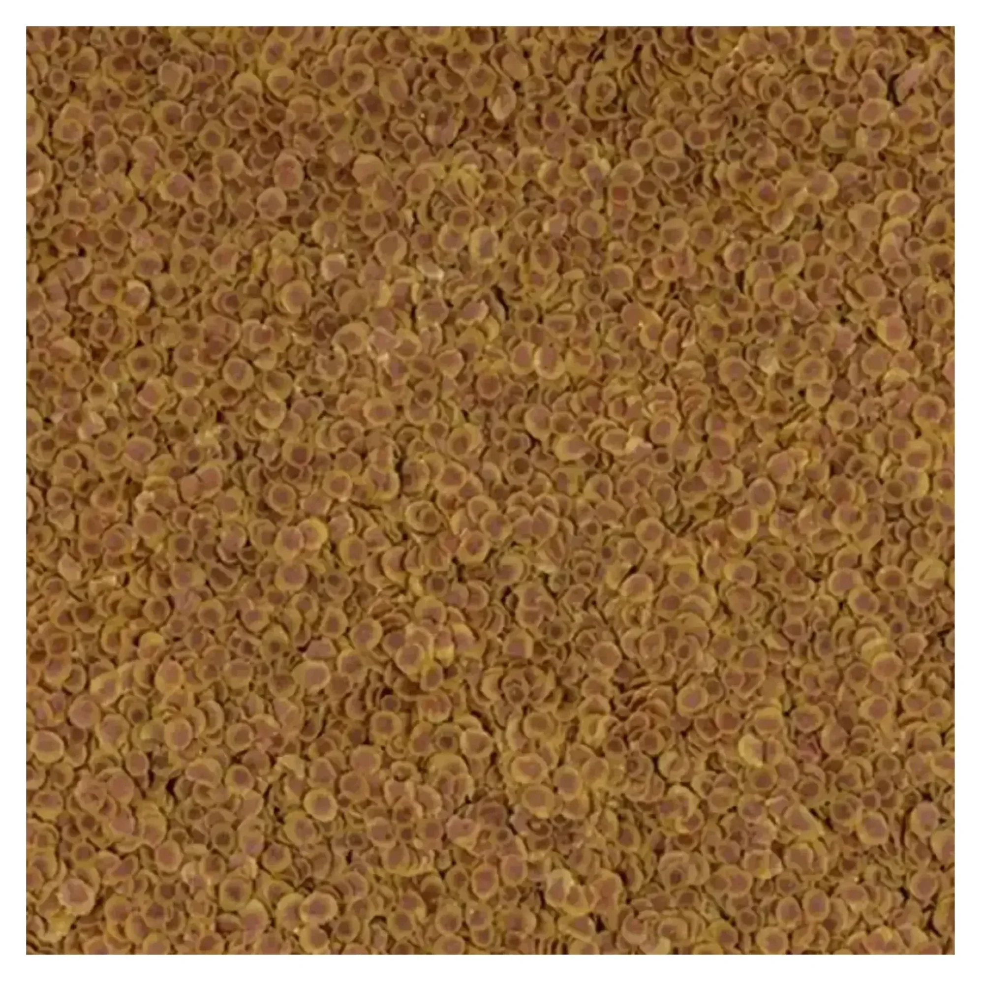 Tetra Tetra Pro Colour Renklendirici Tropikal Balık Yemi - 10L — Yemler, 2.5 kg — Görsel 2