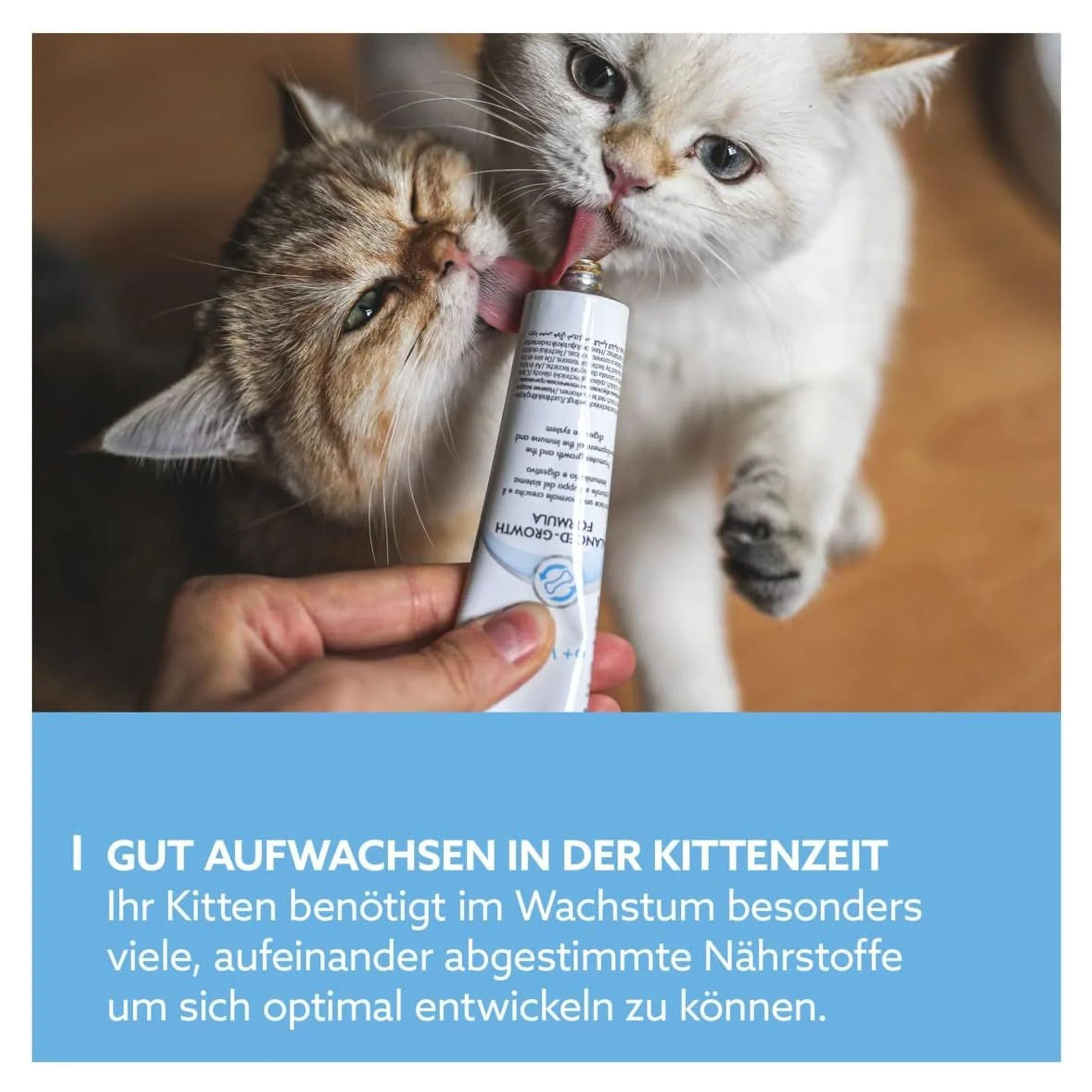 GimCat GimCat Kitten Yavru Kedi Vitamin Macunu 50 G — Takviye ve Vitaminler, 50 g — Görsel 3