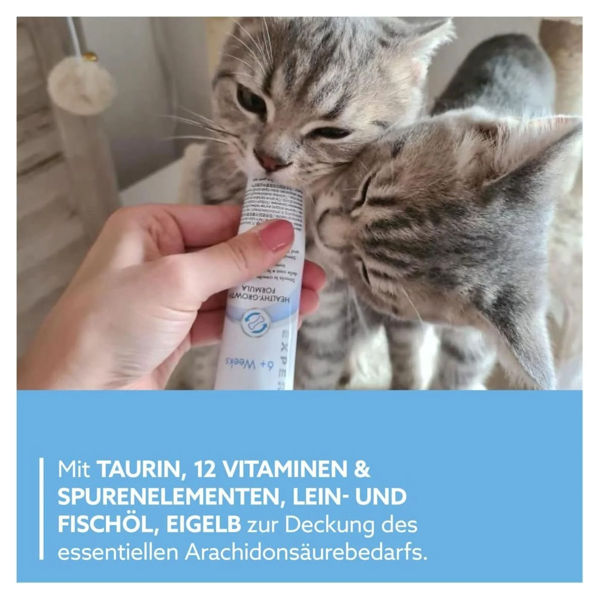 GimCat GimCat Kitten Yavru Kedi Vitamin Macunu 50 G — Takviye ve Vitaminler, 50 g — Görsel 4