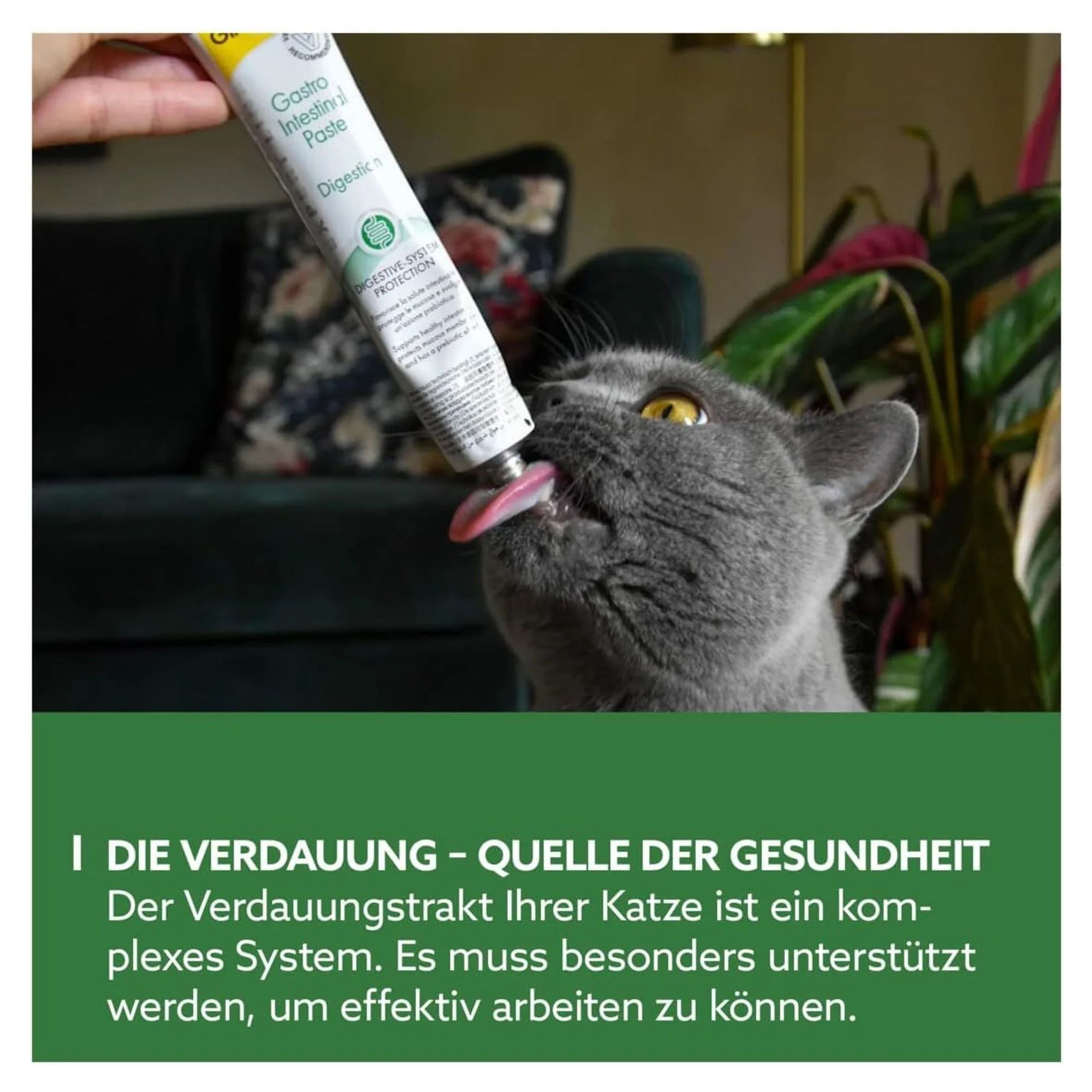GimCat GimCat Gastrointestinal Sindirim Sistemi Destekleyici Kedi Macunu 50 G — Takviye ve Vitaminler, 50 g — Görsel 3
