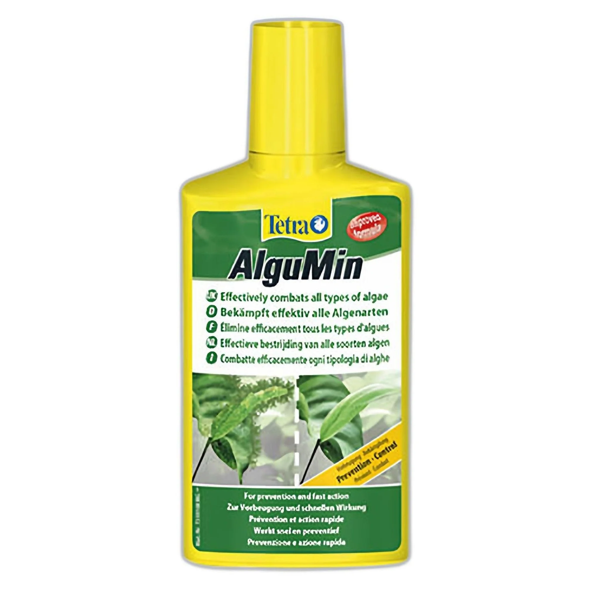 Tetra Algumin Plus Yosun Önleyici - 100 mL