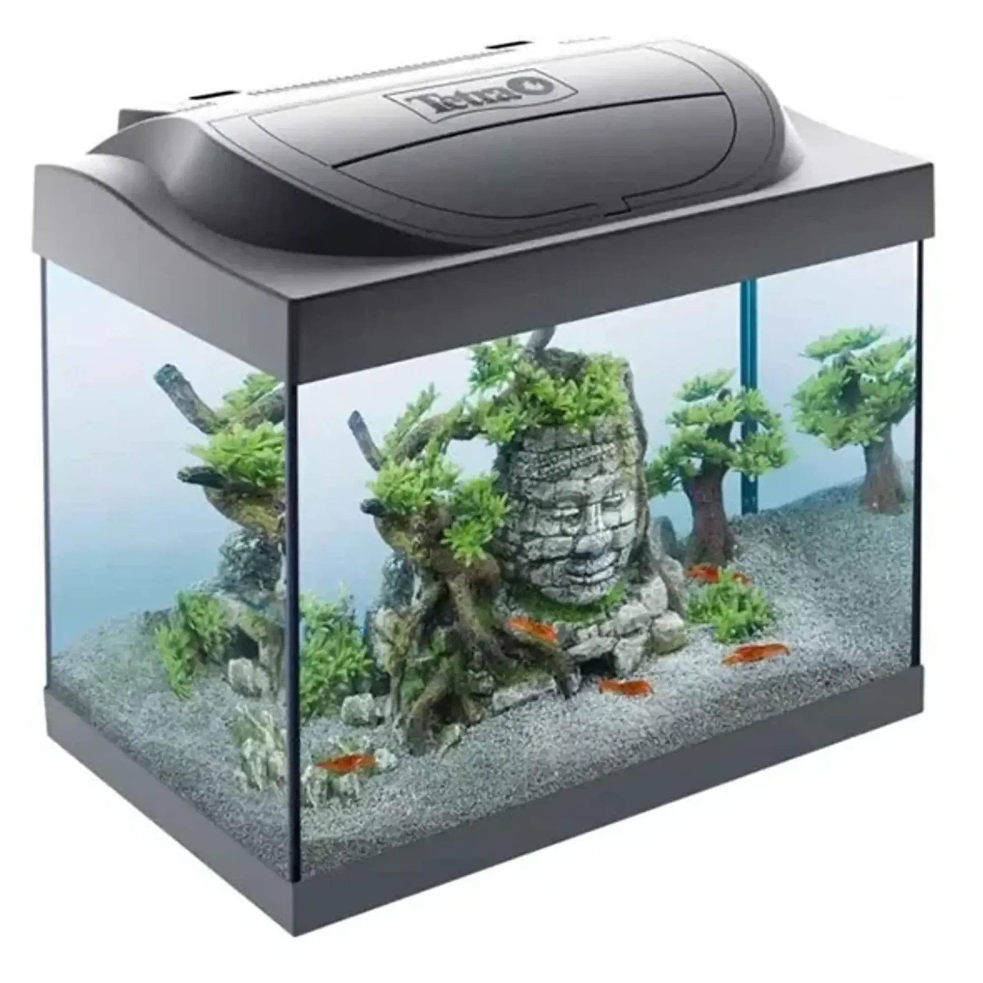 Tetra Starter Line Led Siyah İthal Akvaryum Seti 30 LT — İthal Akvaryumlar, 3 kg — Görsel 3