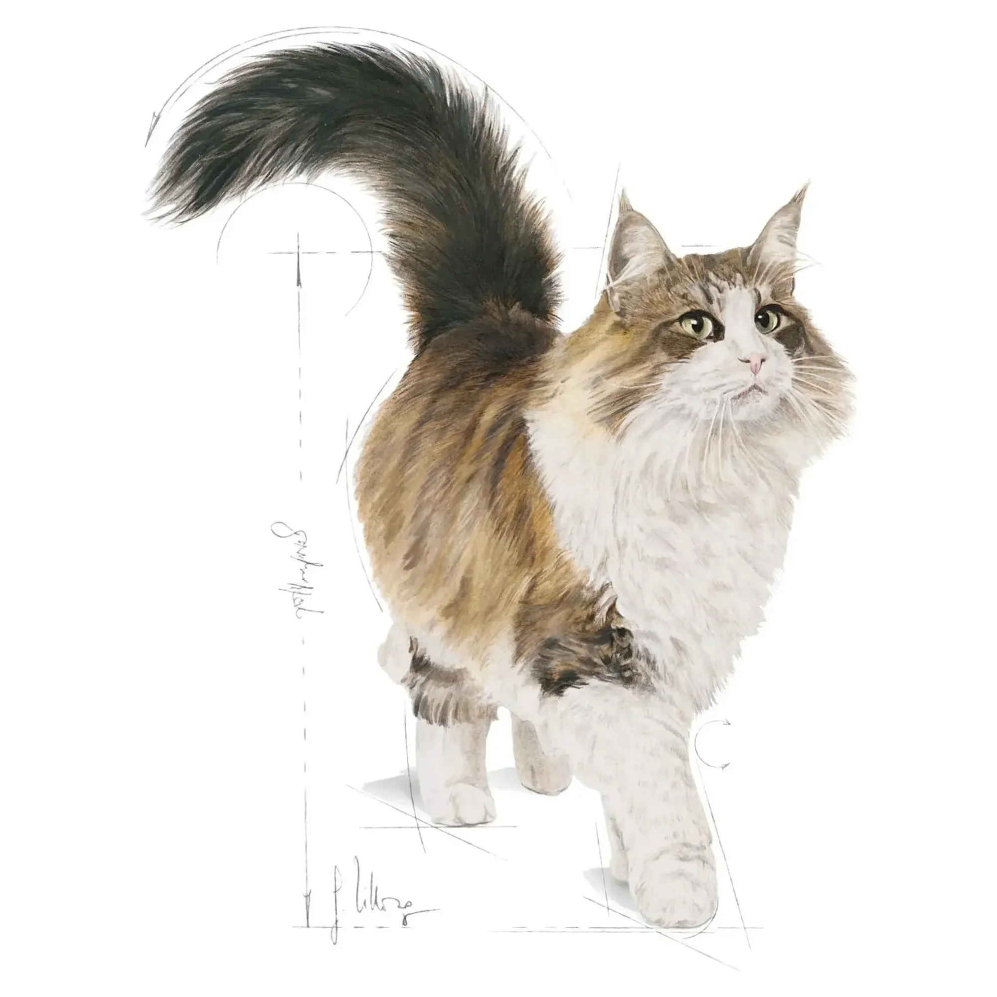Royal Canin Royal Canin Instinctive Adult Gravy Yetişkin Kedi Konservesi 85 G — Normal, 90 g — Görsel 3