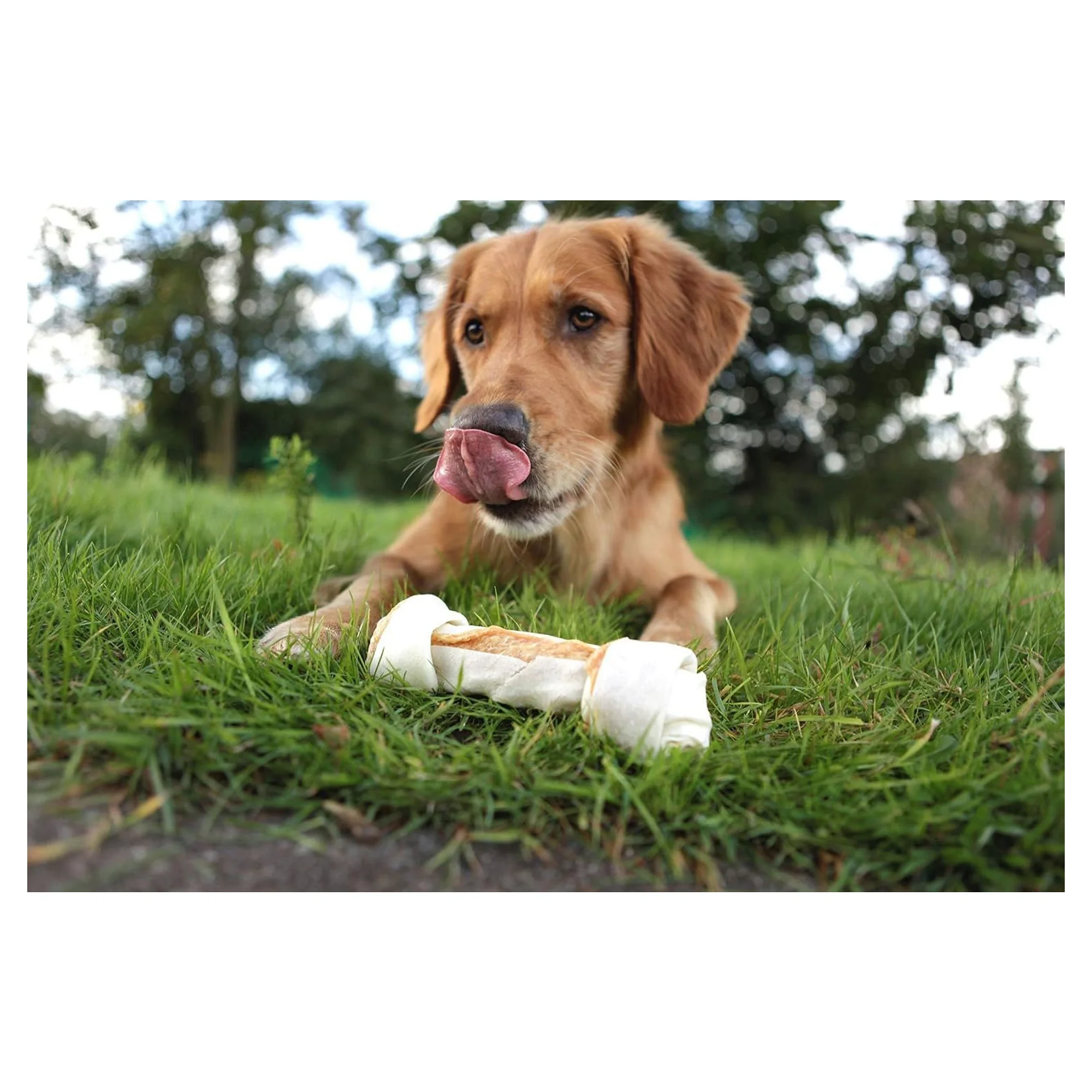8in1 Delights Bones Tavuklu Köpek Ödül Kemiği L 85 G — Ödül Maması, 95 g — Görsel 2