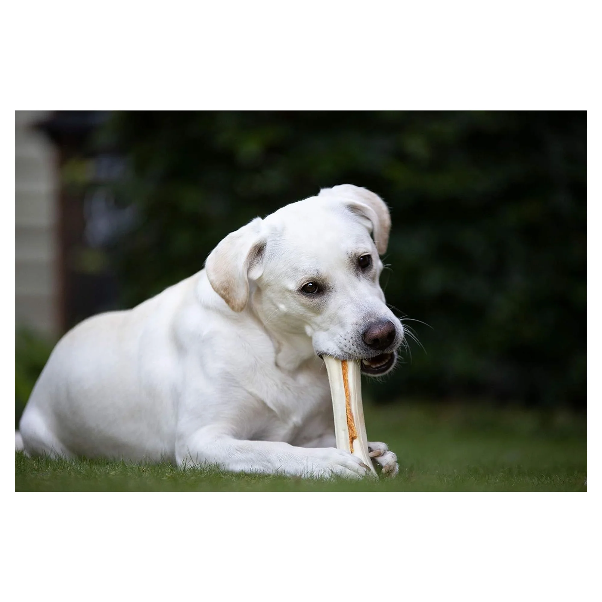 8in1 Delights Büyük Irk Köpekler İçin Tavuk Etli Large Sert Çiğneme Kemiği — Yarı Yumuşak, 140 g — Görsel 5