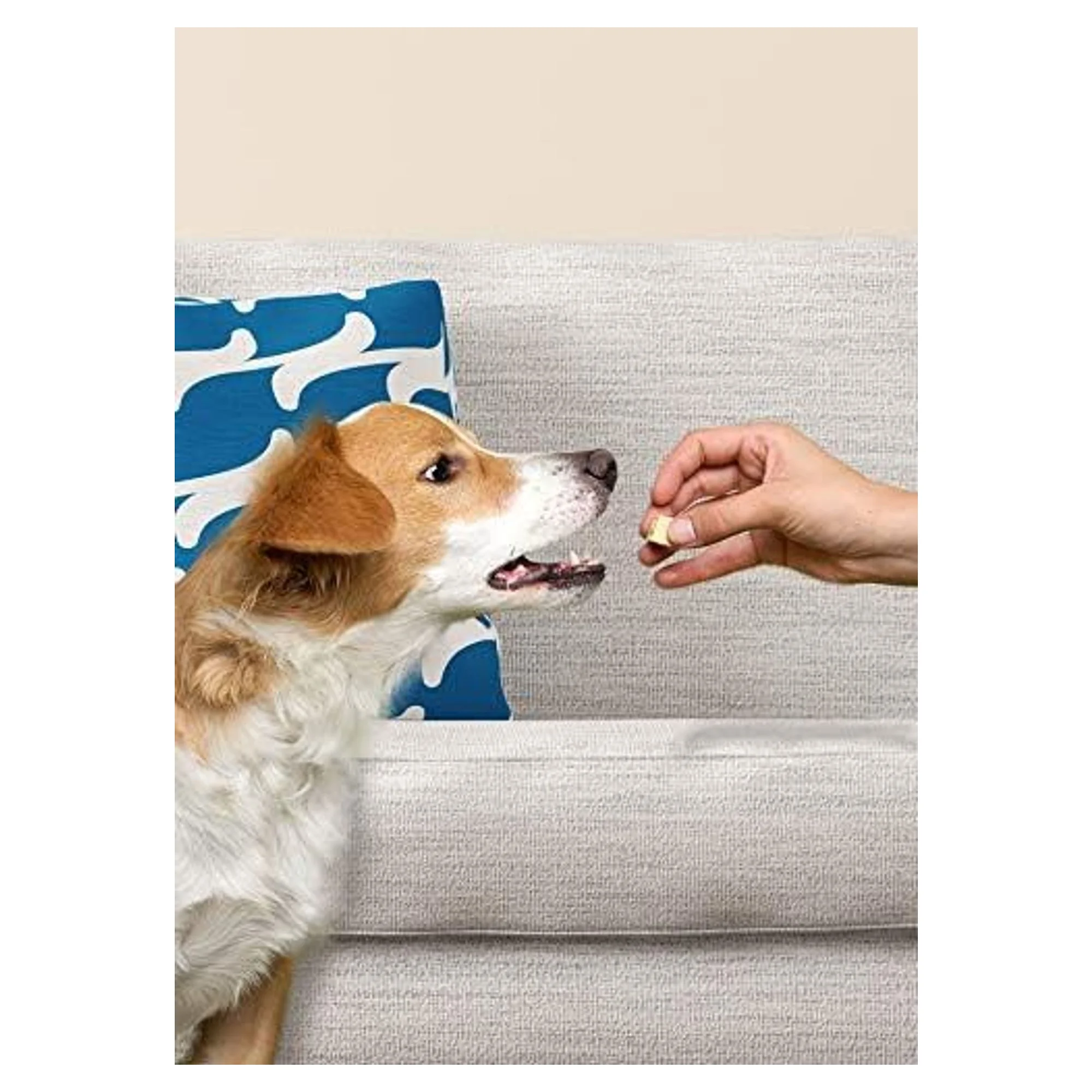 8in1 Meaty Treats Freeze Dried Tavuklu Köpek Ödül Maması 50 G — Normal, 60 g — Görsel 4