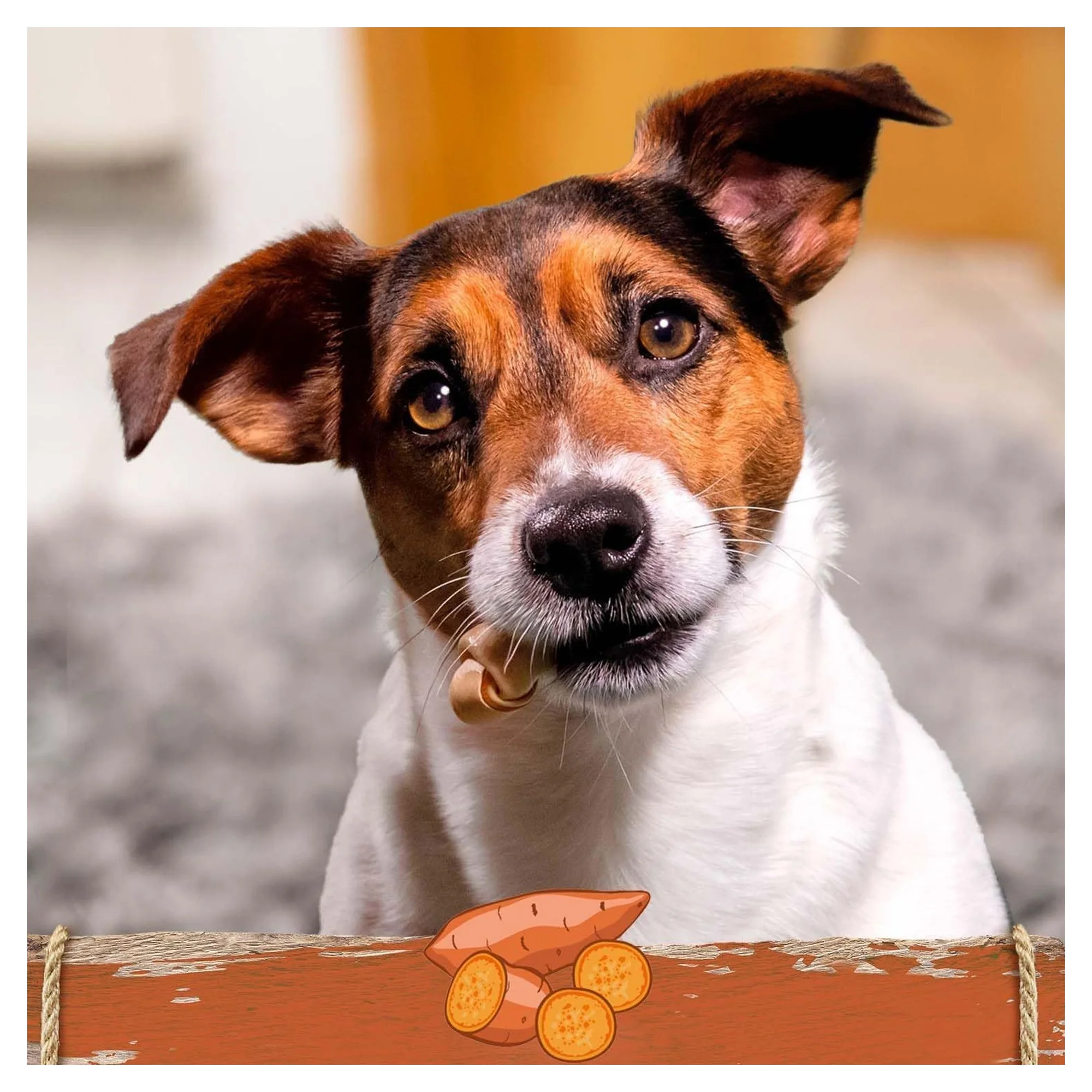 SmartBones Smart Bones Tatlı Patatesli Küçük Irk Köpek Ödül Maması 8'li 128 G — Kuru, 140 g — Görsel 4