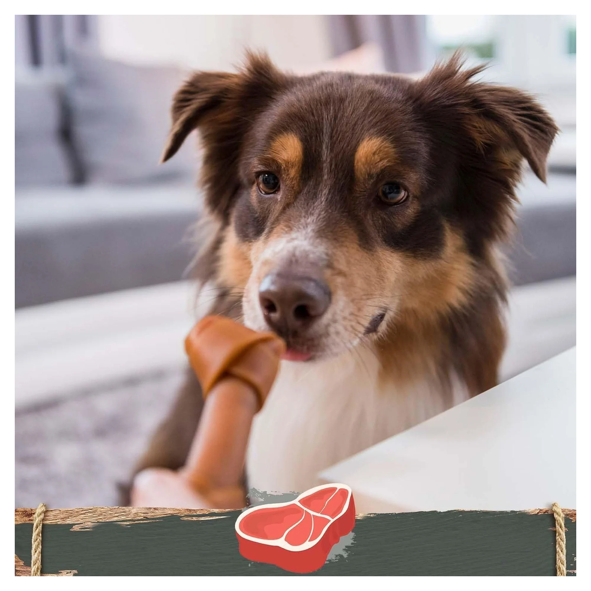 SmartBones Orta Irk Köpekler İçin Sığır Etli Düğümlü Kemik 2'li 158G — Kuru, 175 g — Görsel 4