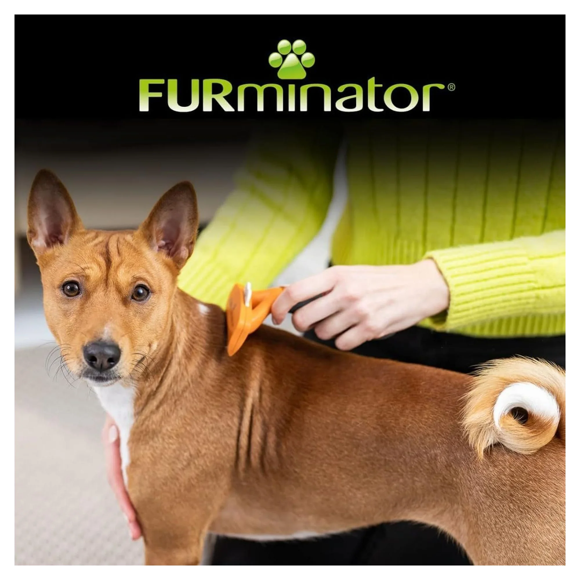 Tetra Furminator Furminator Longhair Dog M — Taraklar ve Fırçalar, 240 g — Görsel 6