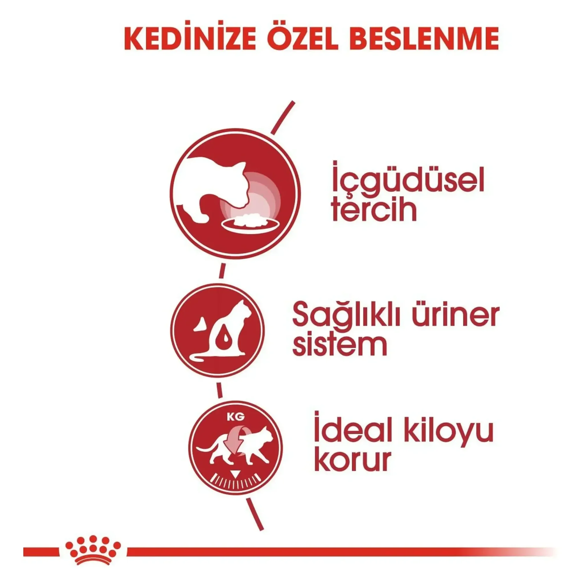 Royal Canin Royal Canin Instinctive Adult Jelly Yetişkin Yaş Kedi Maması 85 G — Normal, 90 g — Görsel 5