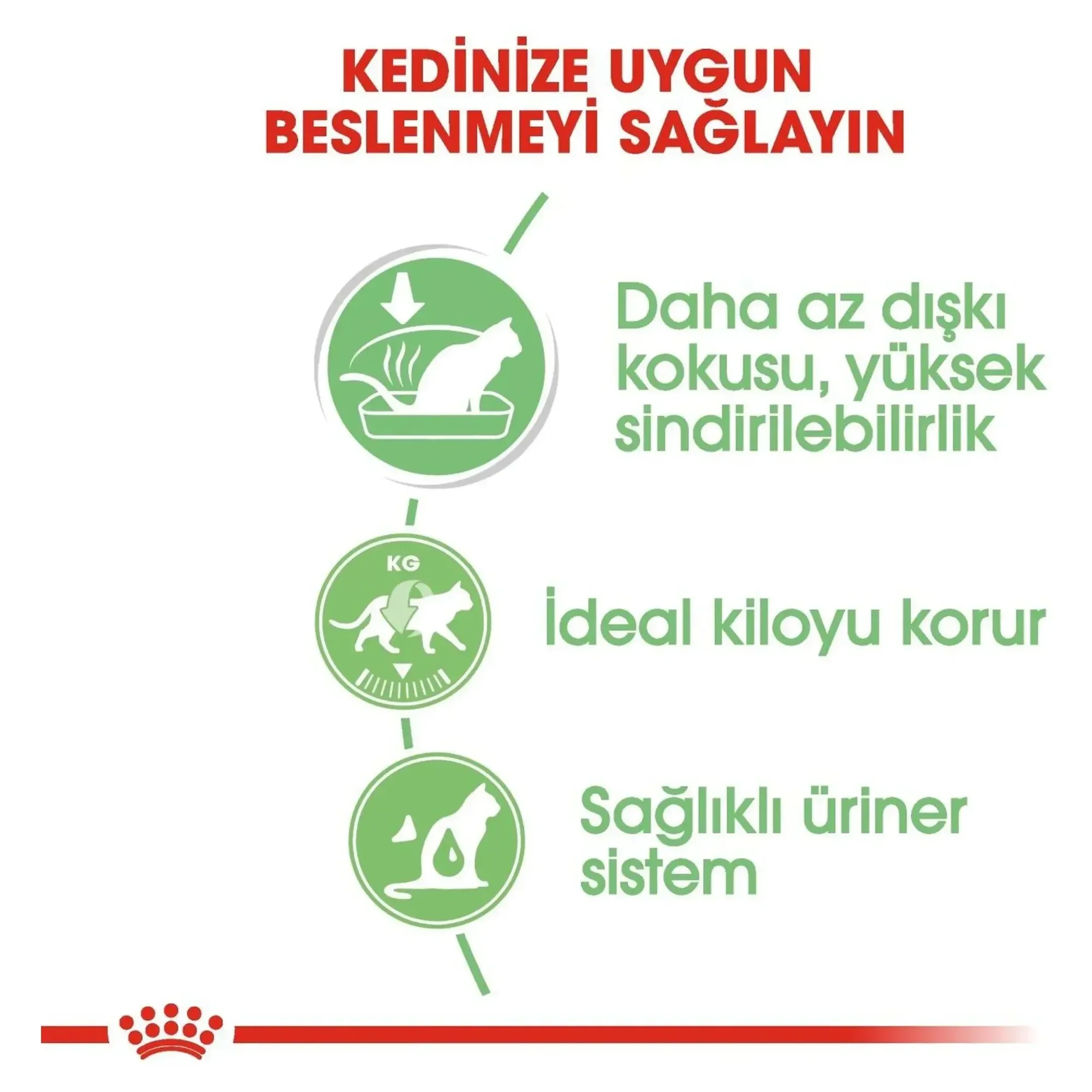 Royal Canin Royal Canin Care Digest Sensitive Yüksek Sindirilebilir Yaş Kedi Maması 85 G — Normal, 90 g — Görsel 3
